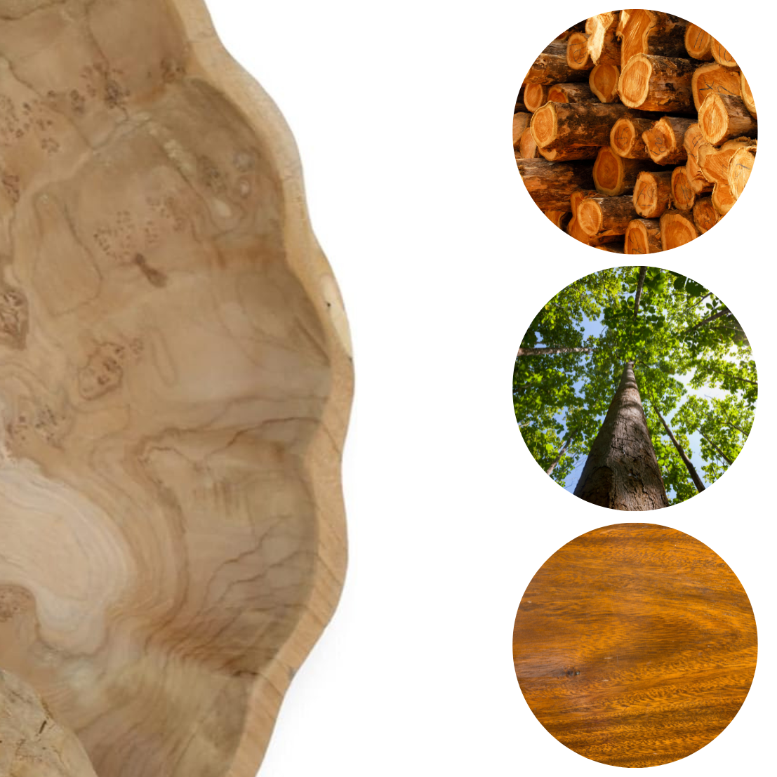 Kein-Titel-1107-x-1107-px Schale Teak Holzschale Massiv Teakholz Natur Unikat Deko Rustikal