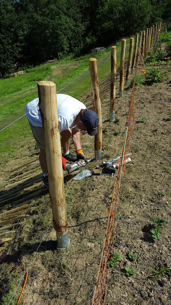 PFAR_003Am2OU1JwFgRZD Zaunpfahl Kastanie 175 cm Ø 9-11 cm für Einschlaghülse 81 mm Rundholz Zaunpfahl gefast ohne Spitze