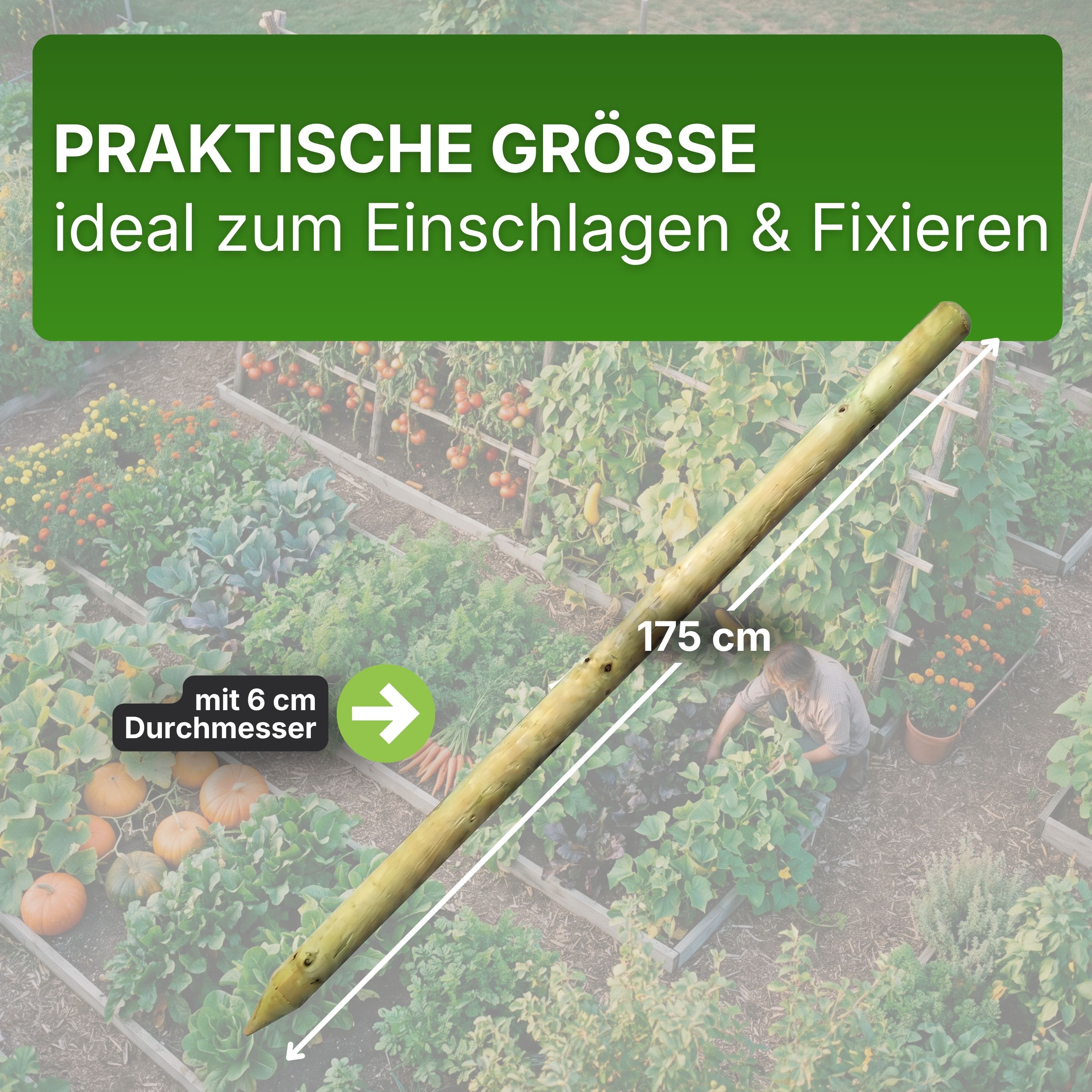 Pfahl Ø 6 cm Höhe 175 cm Holzpfahl Kiefer imprägniert Pflanzstab Gartenpfahl Rankhilfe Baumpfahl