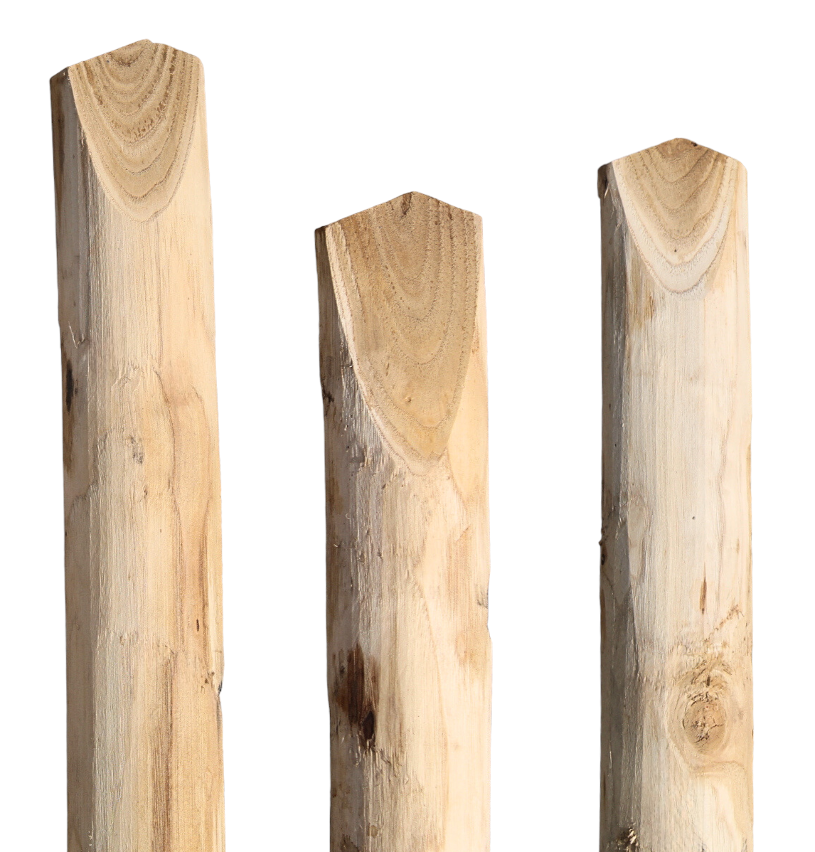 Foto-29d4JQF62gp4cL Zaunlatte Typ C 27x60 mm Kastanienholz französische Kastanie