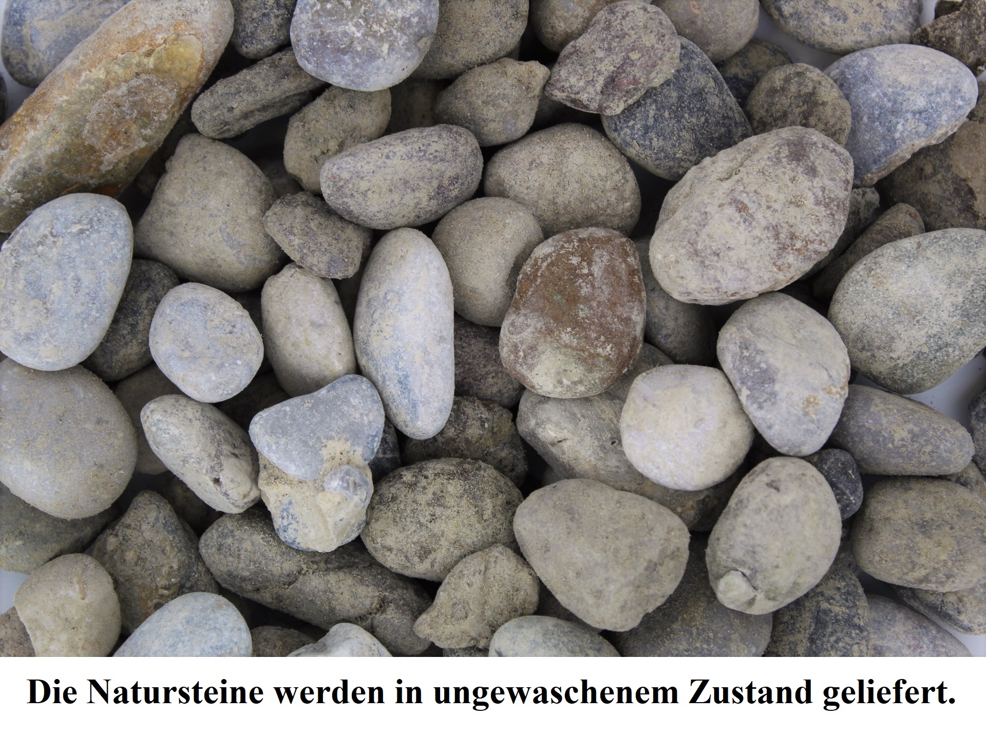 IMG_3663-kopie-ungewaschend1si5EX2ZLgeE Kies 25 kg Naturkies ungewaschen Gartenkies Teichkies Deko Wegkies Wegsteine Zierkies