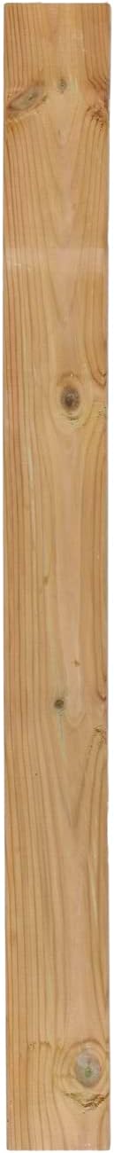 Zaunlatte Kiefer imprägniert Typ F 20x90 mm 60 cm