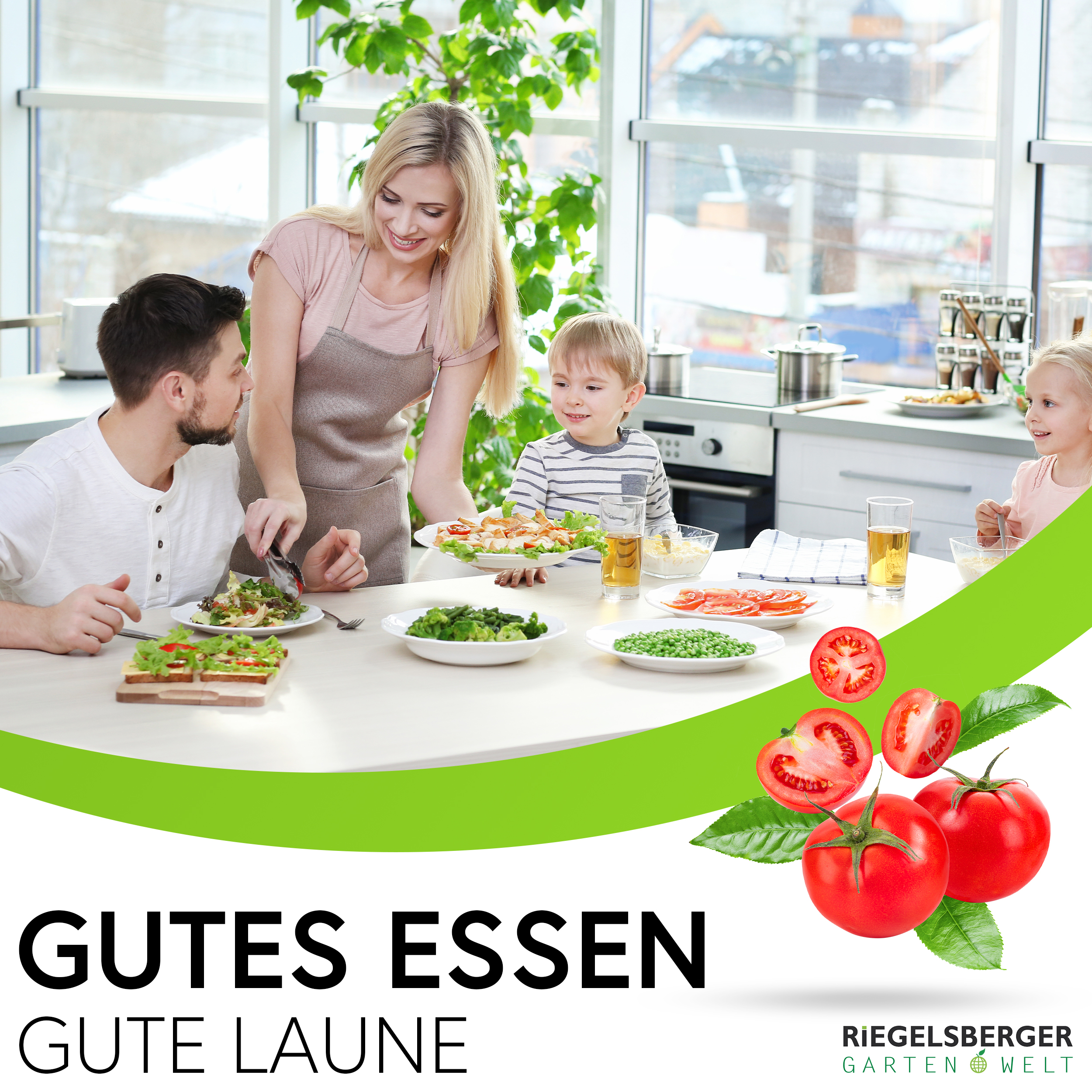 47GEOOVbQ6CRiS Tomatenspiralen aus Stahl Ø 5,6 mm Tomatenspiralstäbe Ranke Pflanzstab