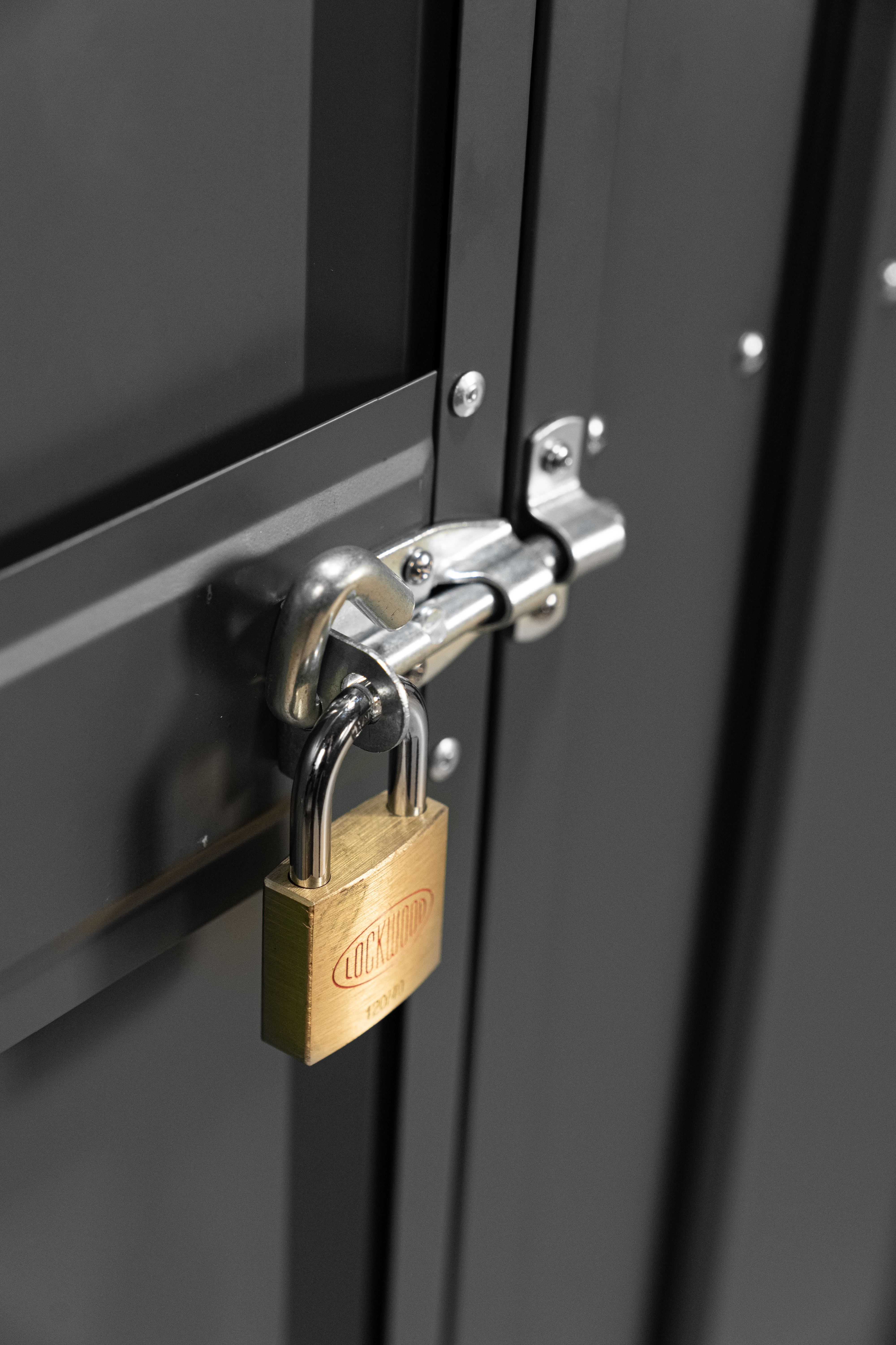 Schwingtür-Kit 1, anthrazit