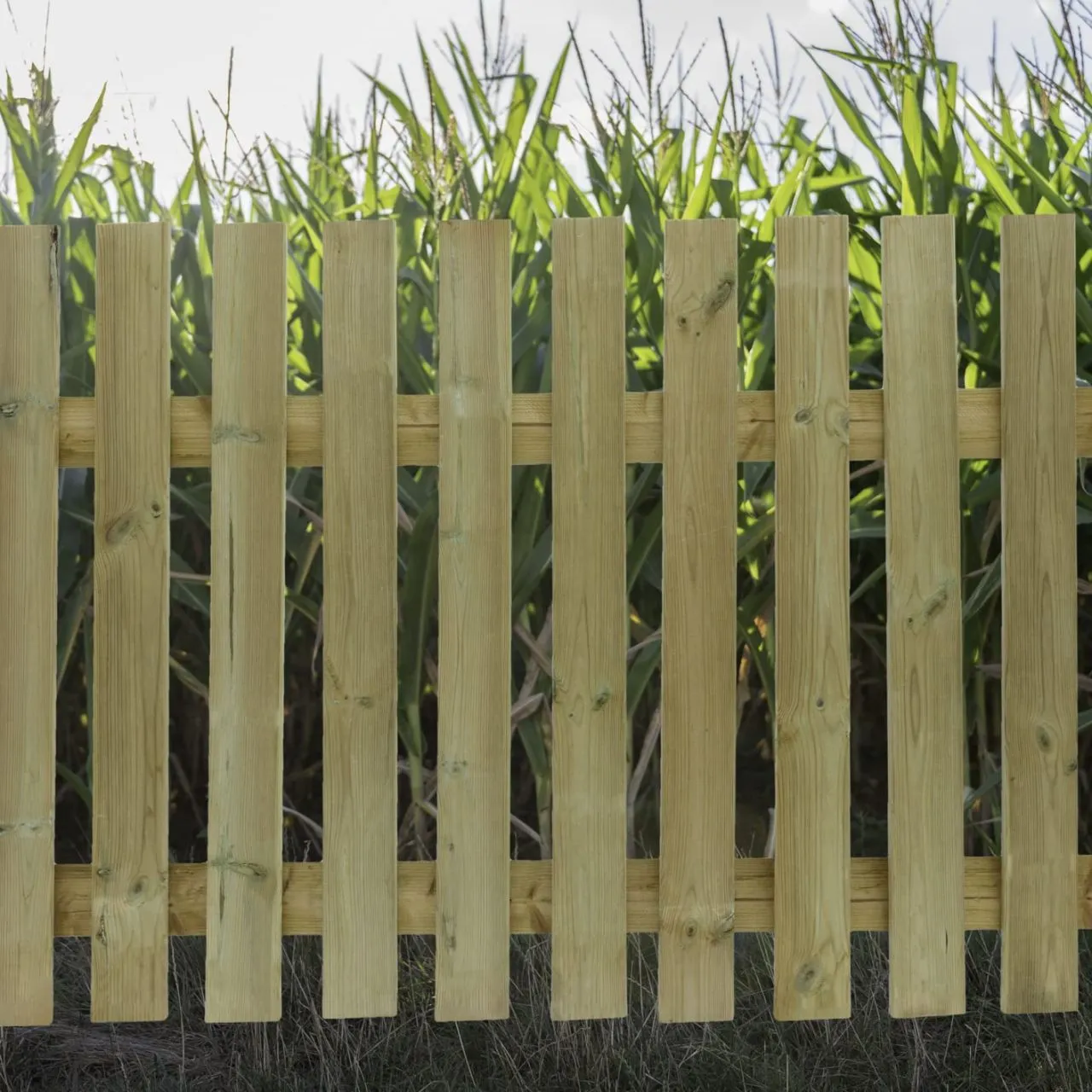 Zaunlatte Kiefer imprägniert Typ E 20x70 mm 60 cm