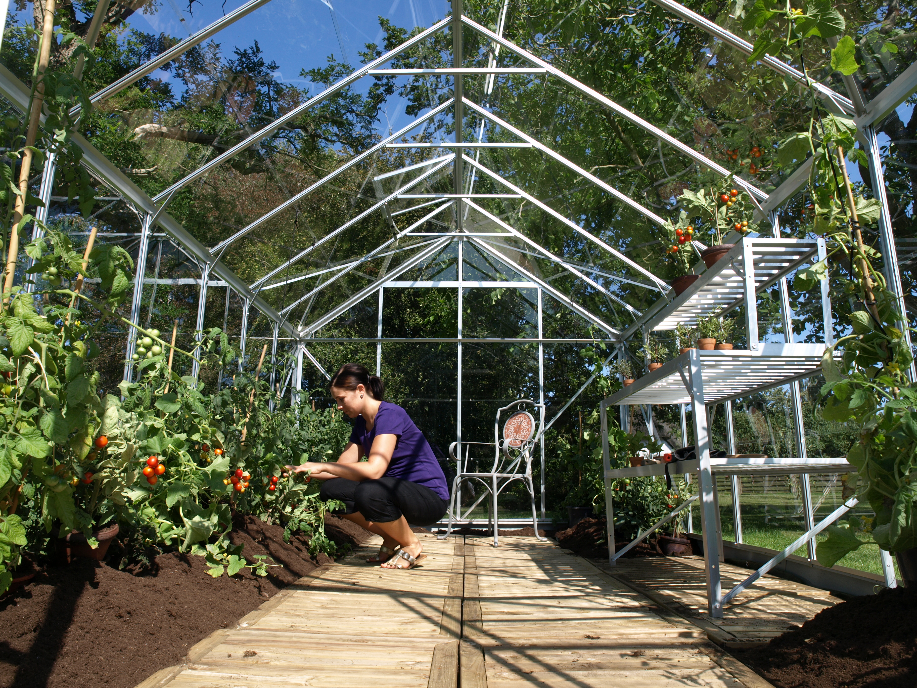 Gewächshaus Mars 9900 ESG 3mm, alu