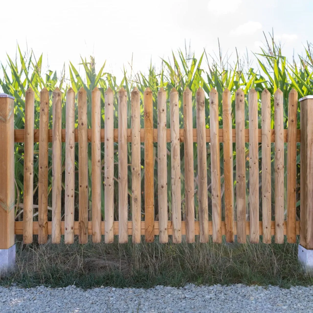 Zaunlatte Kiefer imprägniert Typ C 27x60 mm 60 cm