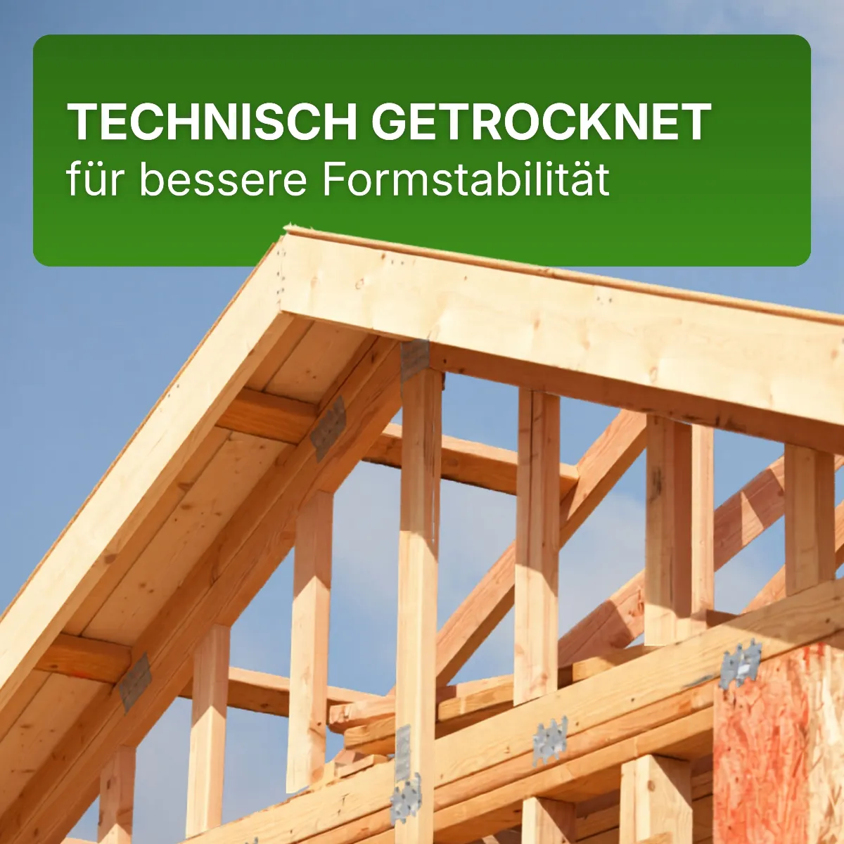 Konstruktionsholz 35x55 mm Lärche natur Latten 4-seitig glatt