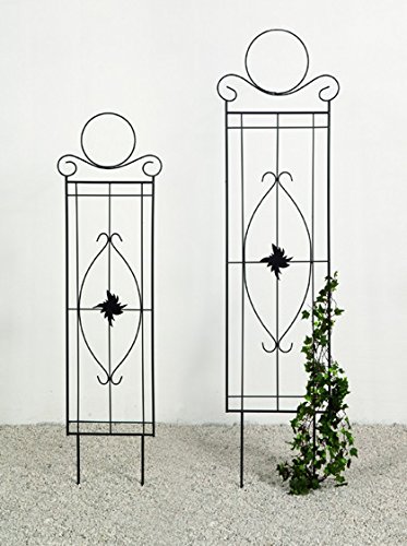 TAK1010 Zierspalier Felice H150cm (11166)