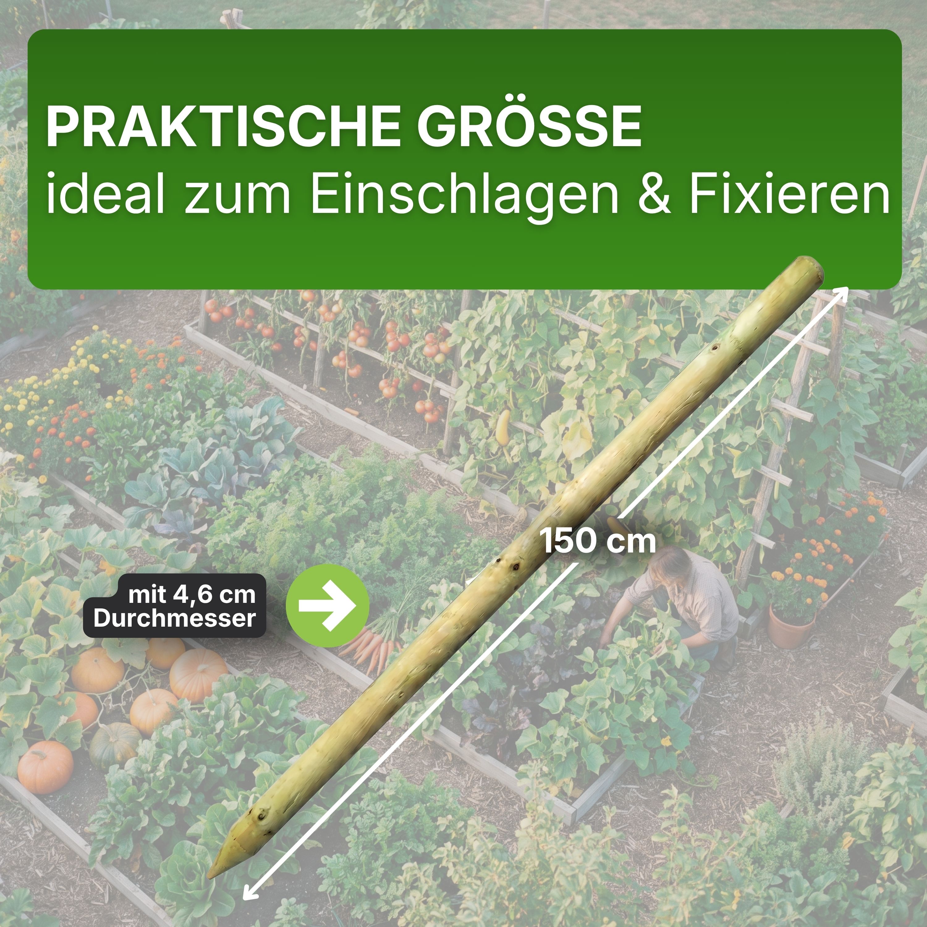 Pfahl Ø 4,6 cm Höhe 150 cm Holzpfahl Kiefer imprägniert Pflanzstab Gartenpfahl Rankhilfe Baumpfahl