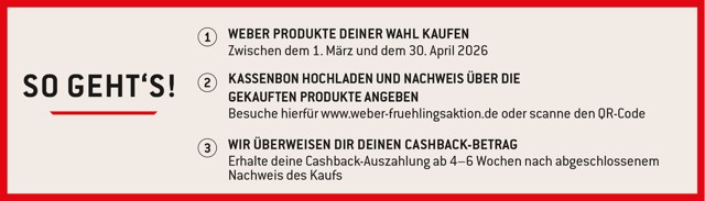 Weber Q 1200N Gasgrill mit Stand Black