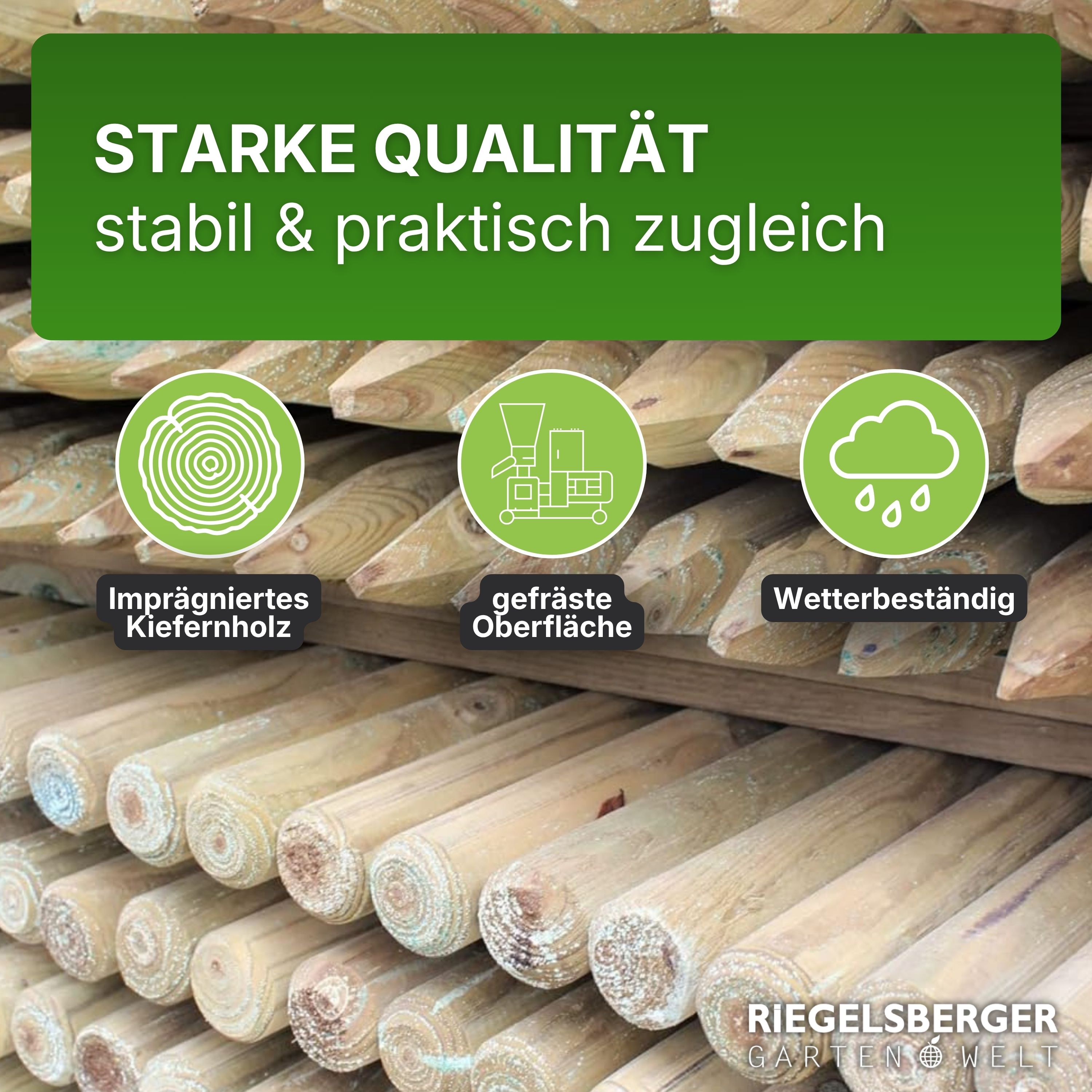 Pfahl Ø 4,6 cm Höhe 150 cm Holzpfahl Kiefer imprägniert Pflanzstab Gartenpfahl Rankhilfe Baumpfahl