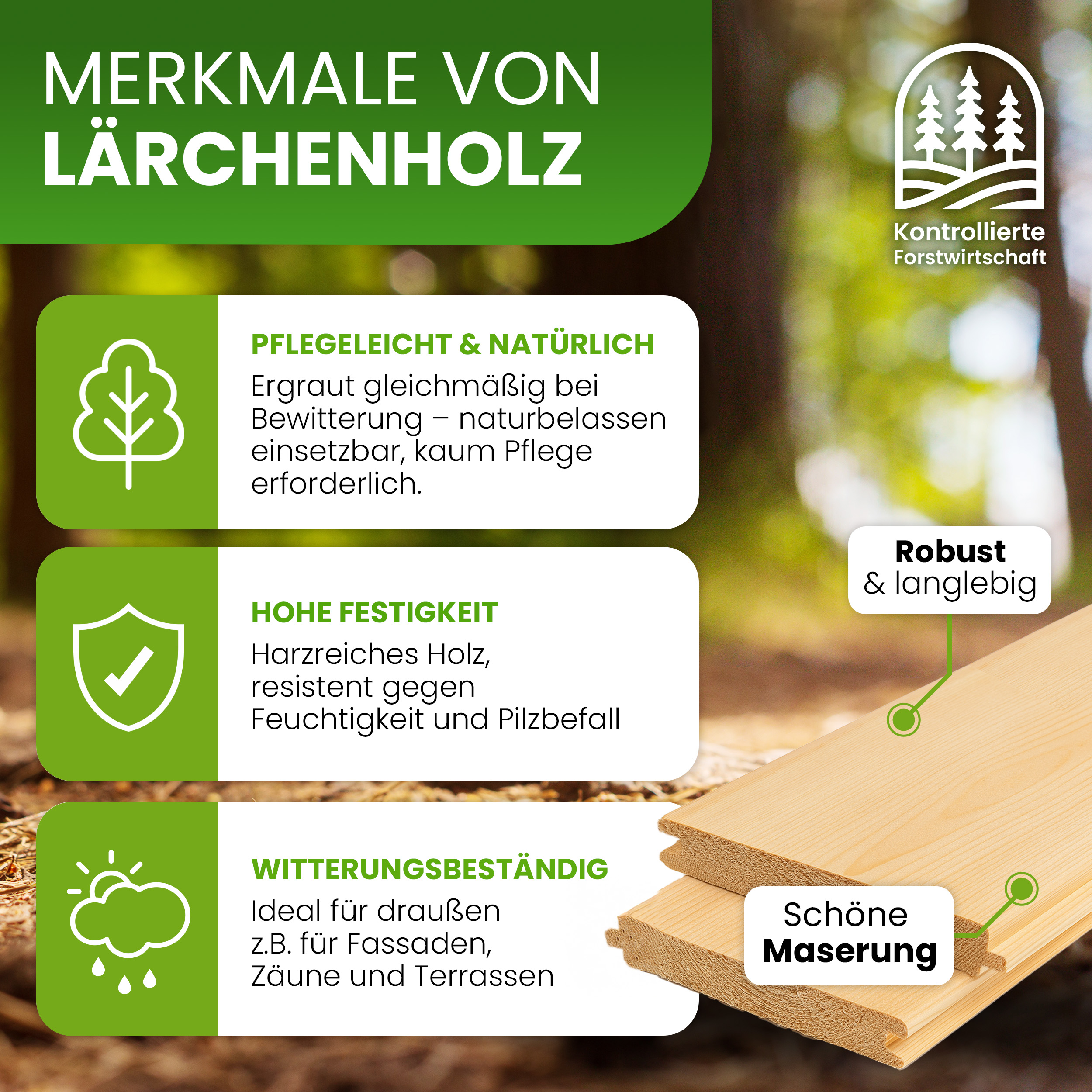 Fassadenprofil 24x146 mm Lärche natur Fasebretter Nut und Feder