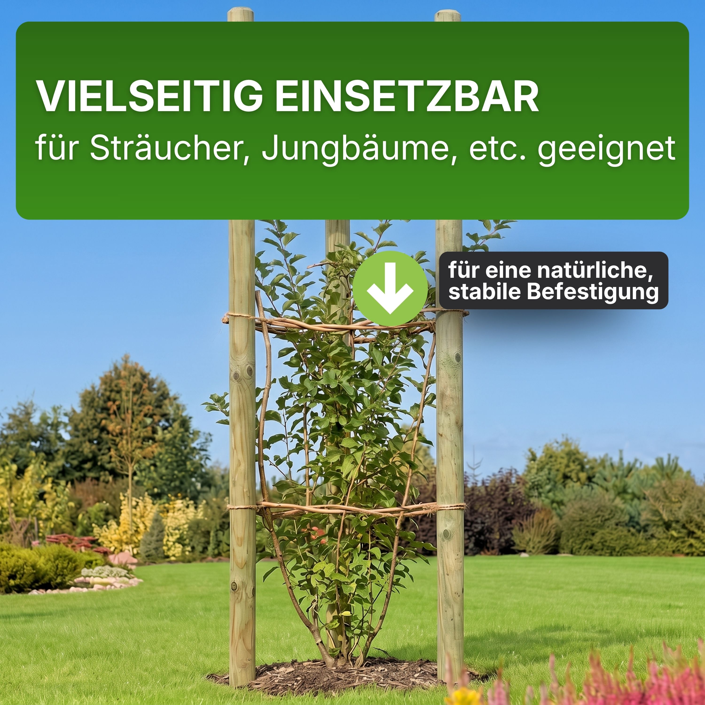 Pfahl Ø 6 cm Höhe 175 cm Holzpfahl Kiefer imprägniert Pflanzstab Gartenpfahl Rankhilfe Baumpfahl