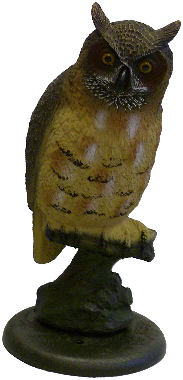 UBB1197 Apollo Eule groß