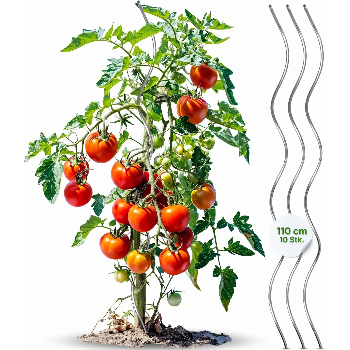 Tomatenspiralen aus Stahl Ø 5,6 mm Tomatenspiralstäbe Ranke Pflanzstab