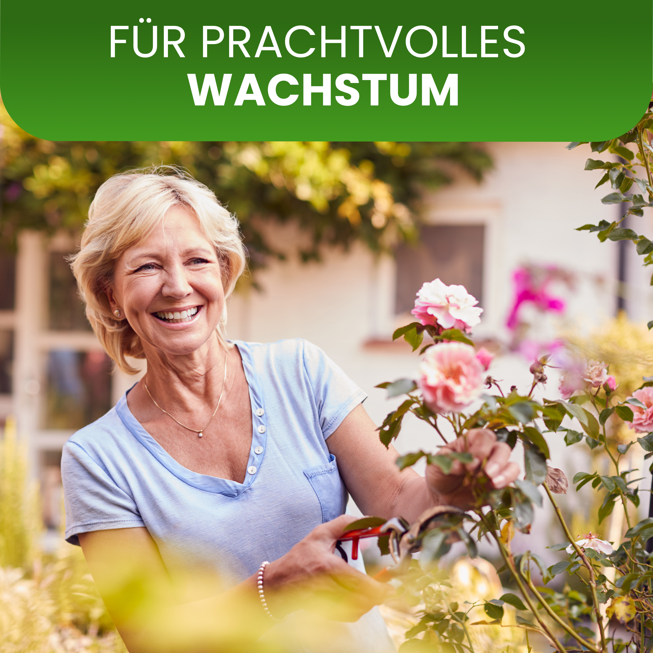 Halbbogen schwarz Rosenbogen für Kletterpflanzen Rosenspalier Rankhilfe