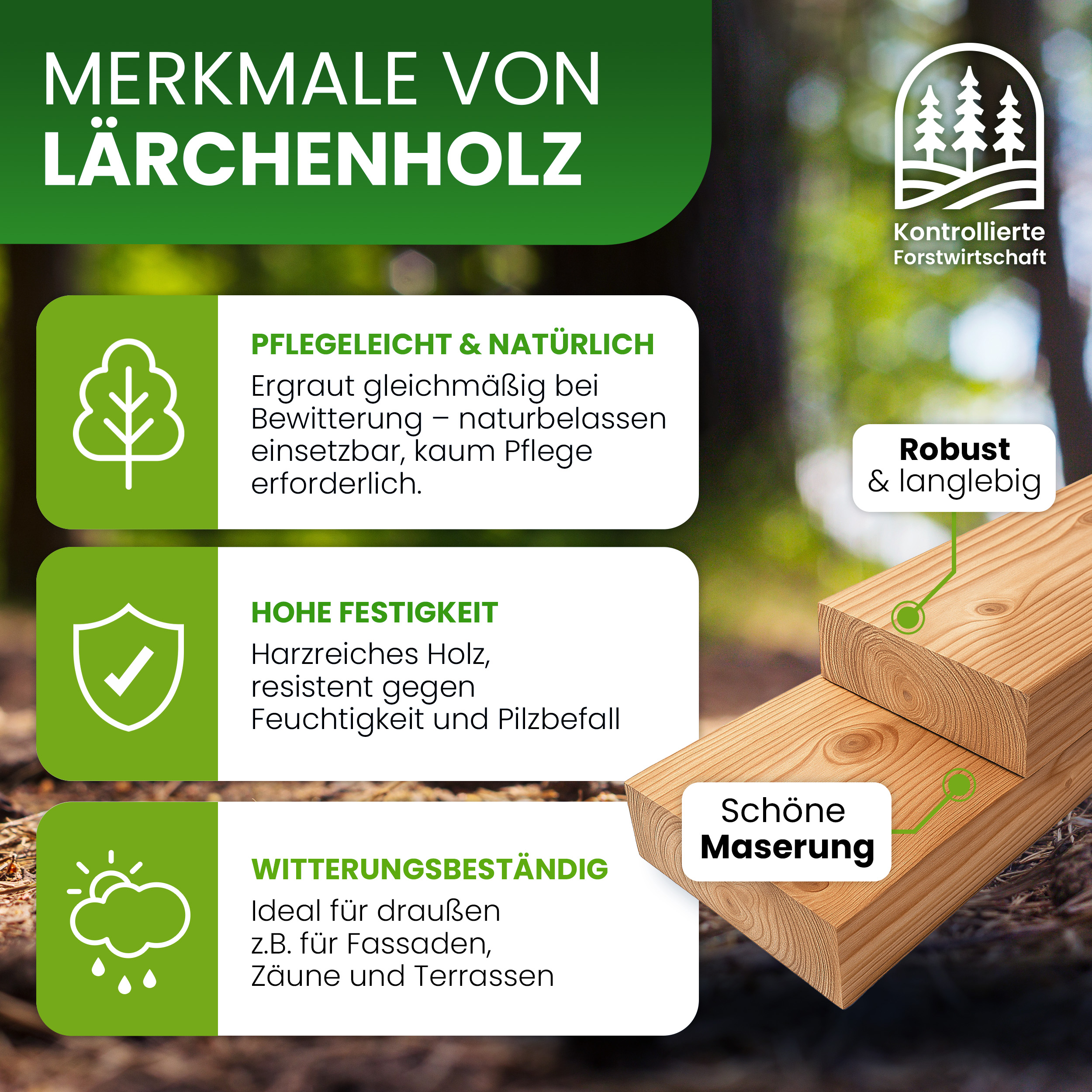 Massive Bohlen 40x120 mm Lärche natur 4-seitig glatt Terrassendiele