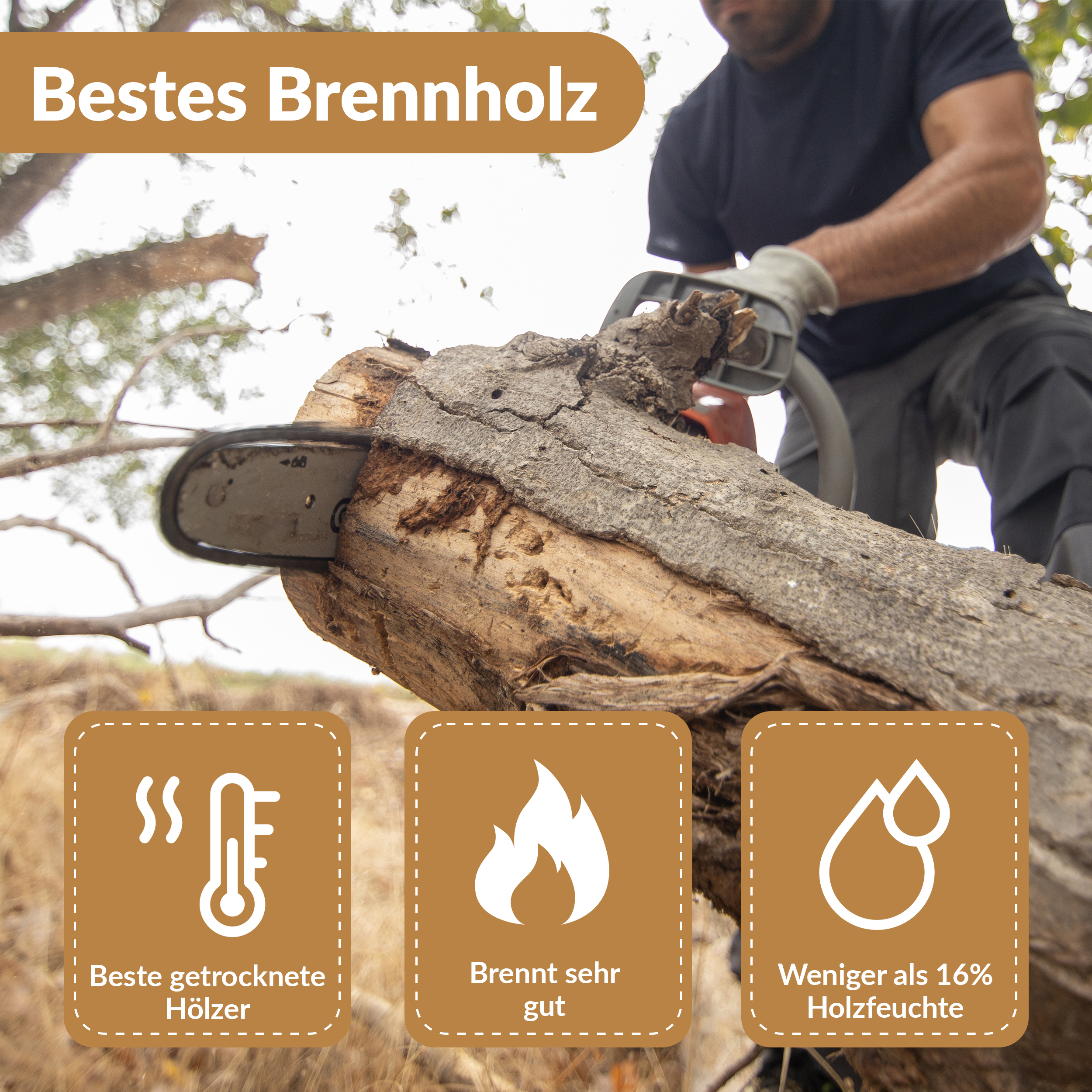 Brennholz Kaminholz Nadelholz für Kaminofen Lagerfeuer Feuerschalen ofenfertig staubfrei