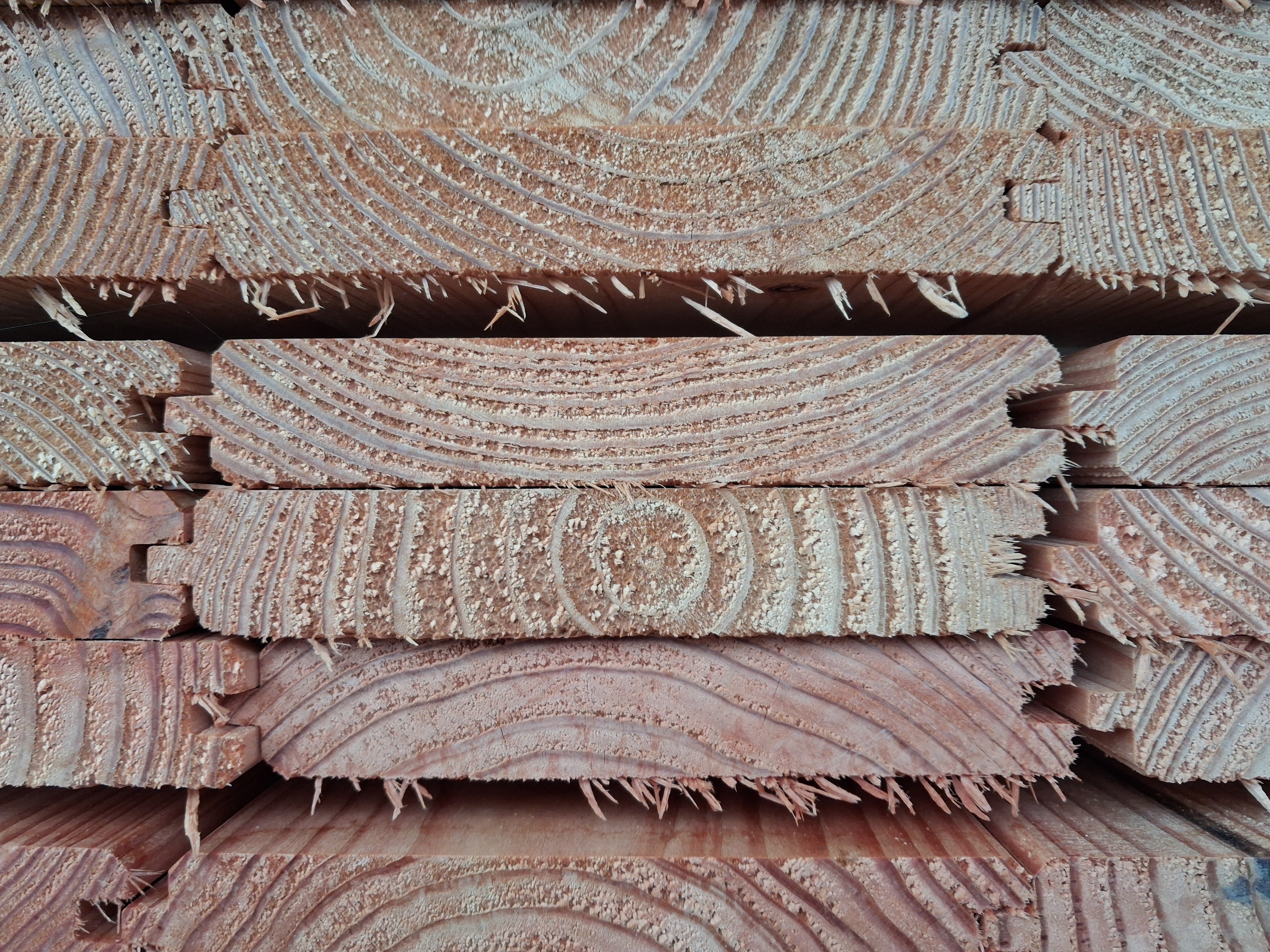 Fassadenprofil 24x146 mm Lärche natur Fasebretter Nut und Feder