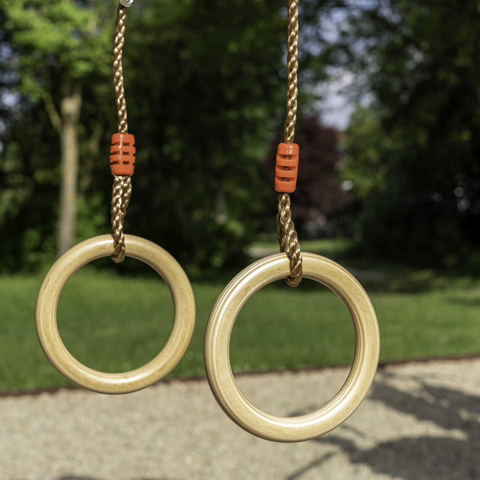 _DSC9859 Professionelle Ringe aus Holz lackiert Turnringe Gymnastikringe Seilringe zum Aufhängen Ringe Ø190mm