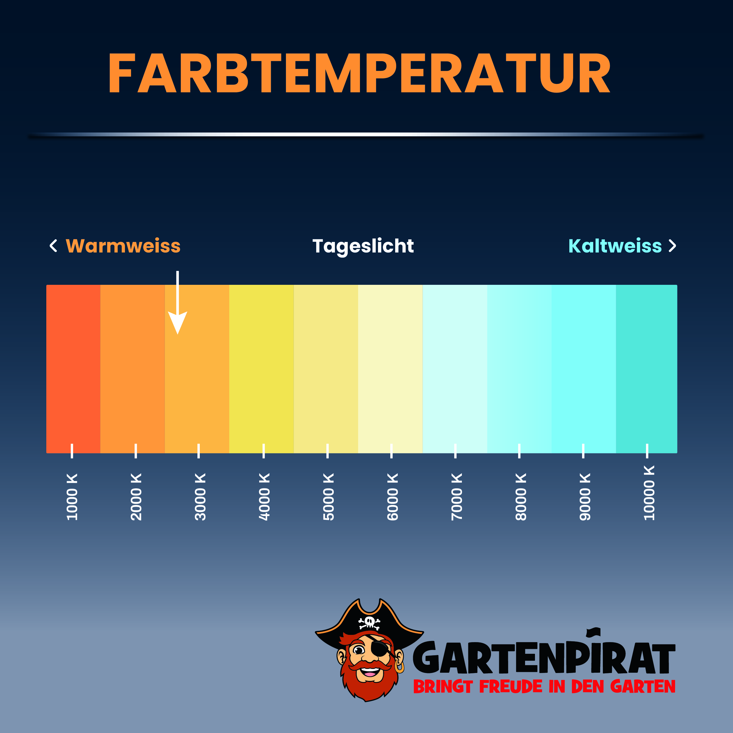 Farbtemperatur_2700KXktXEaq6rHjhi LED-Lichternetz mit Kabel LED Dekoration Beleuchtung Lichterkette