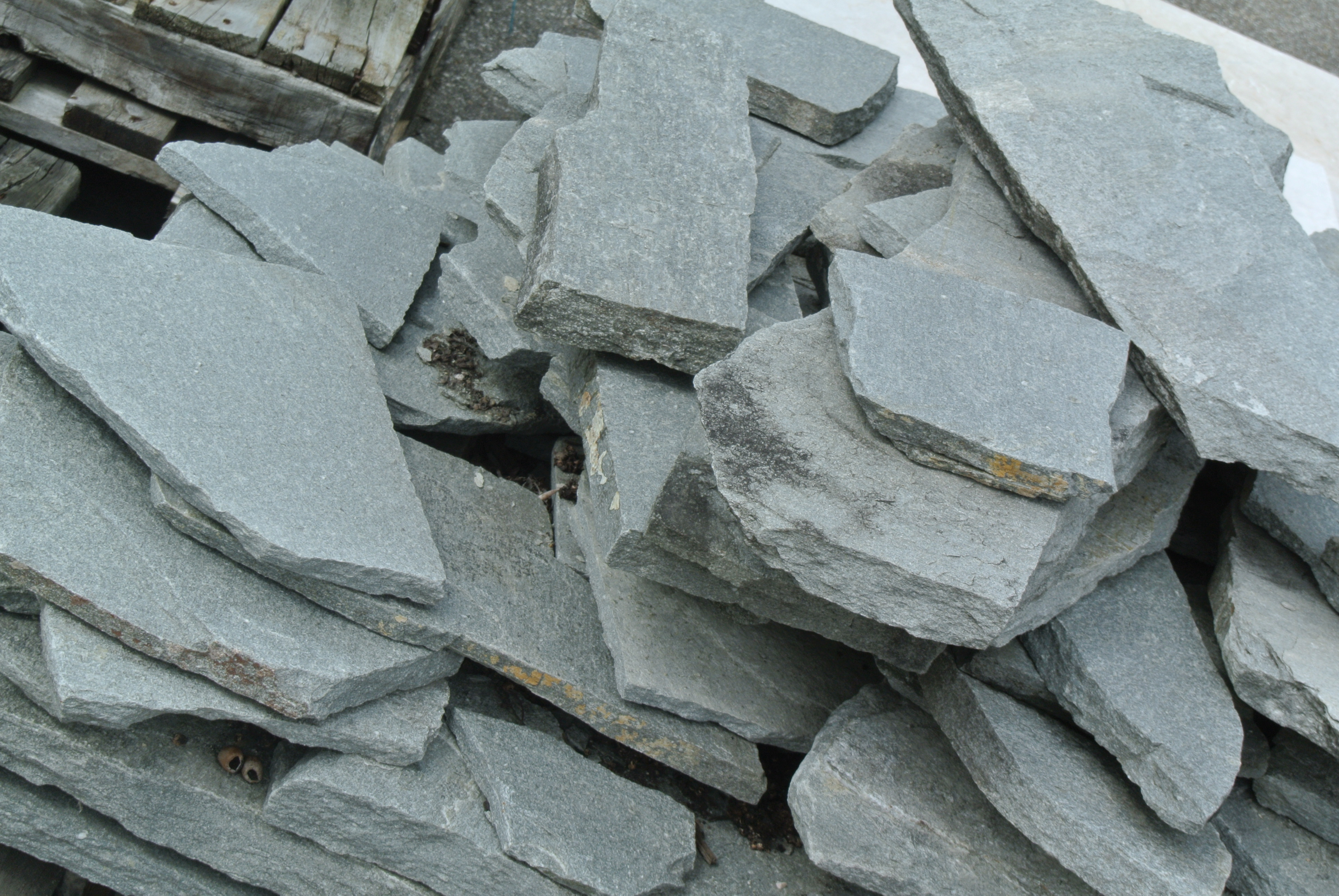Trittplatte Quarzit grau Naturstein Gehwegplatte Dekostein naturbelassen