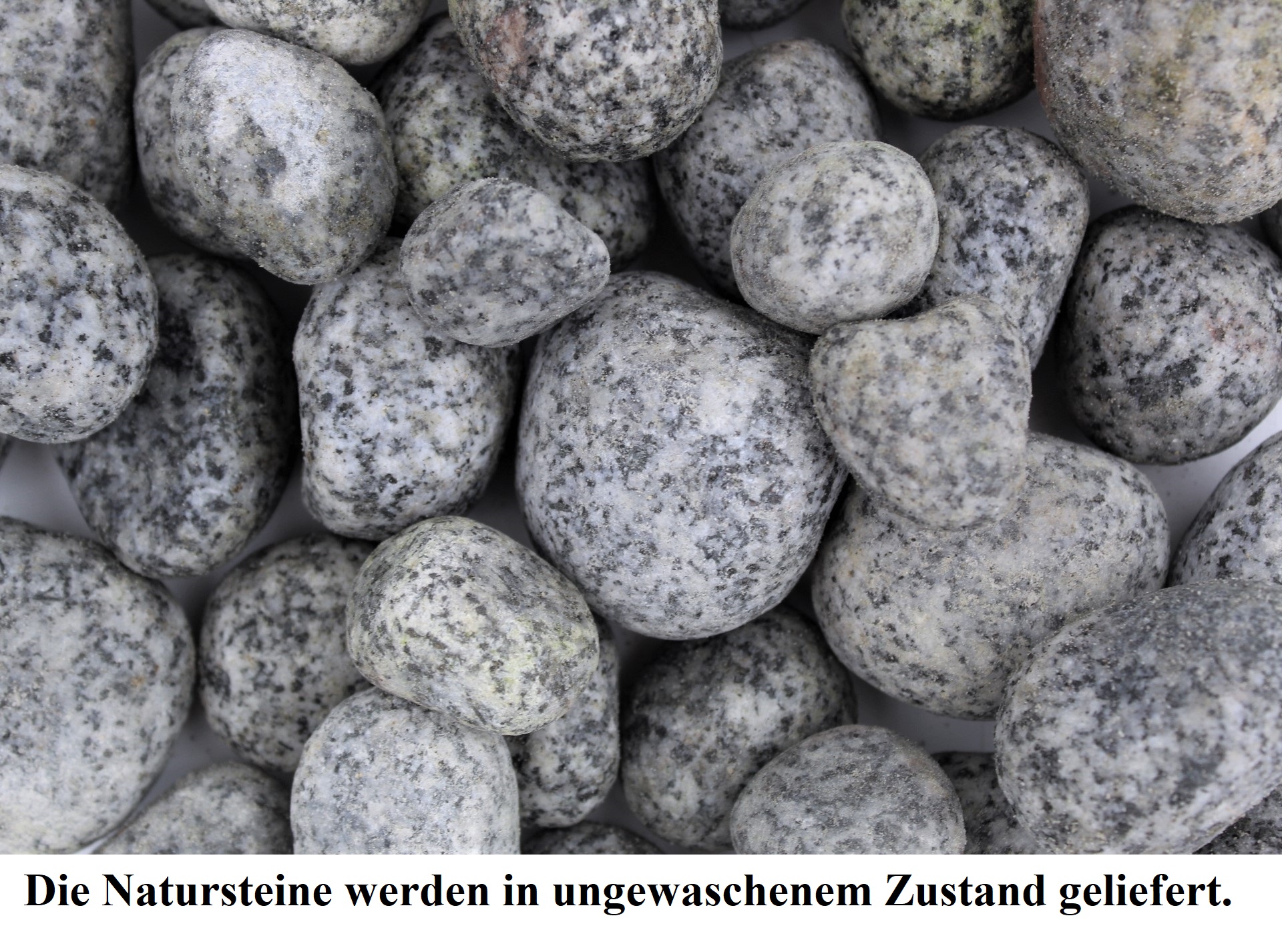 IMG_3708-kopie-ungewaschenY9A86qoWOlSzX Kies 25 kg Naturkies ungewaschen Gartenkies Teichkies Deko Wegkies Wegsteine Zierkies