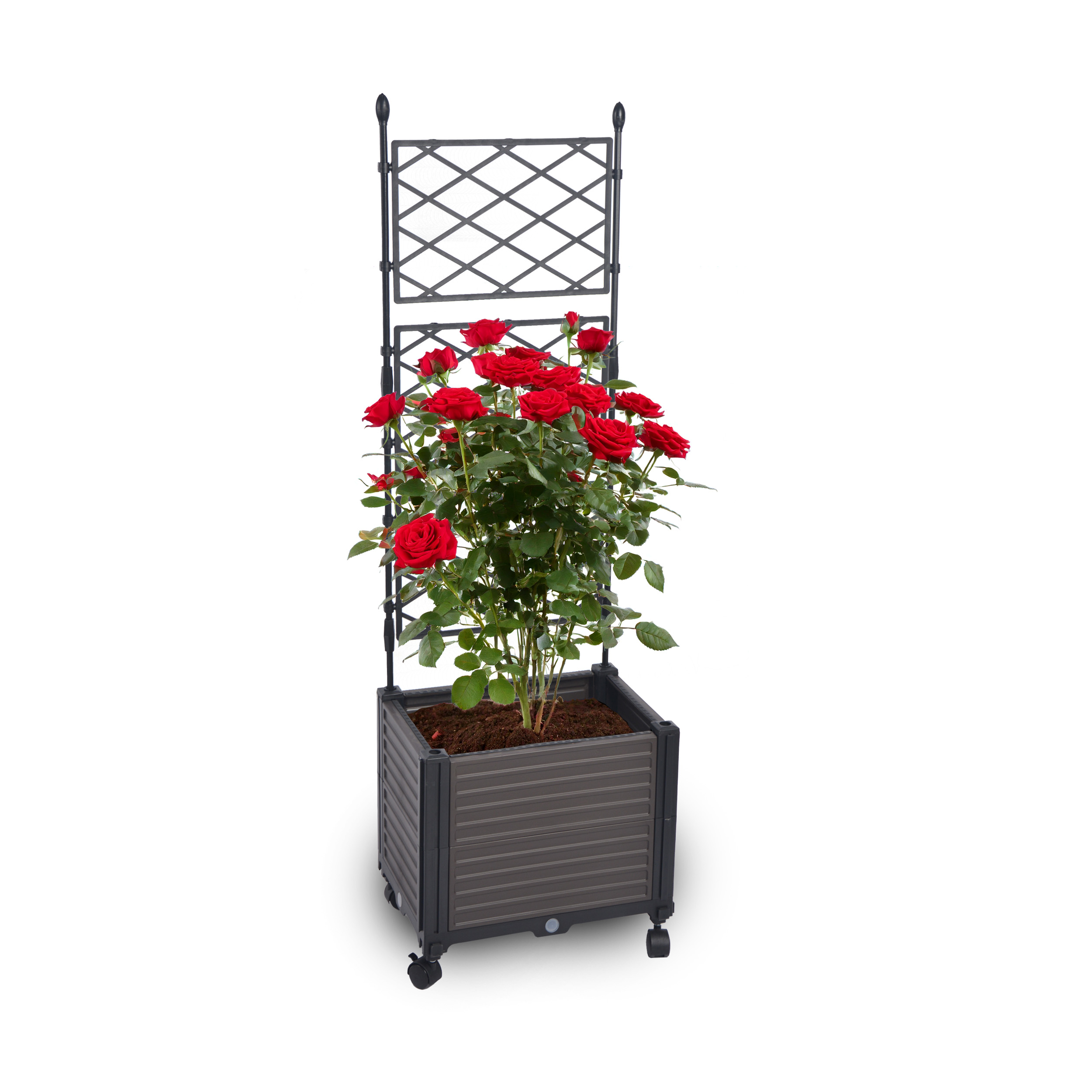 Gartenwelt Riegelsberger Blumenkasten Set mit Spalier 41x30xH125 cm Pflanzkasten auf Rädern Rankgitter für Garten Terrasse