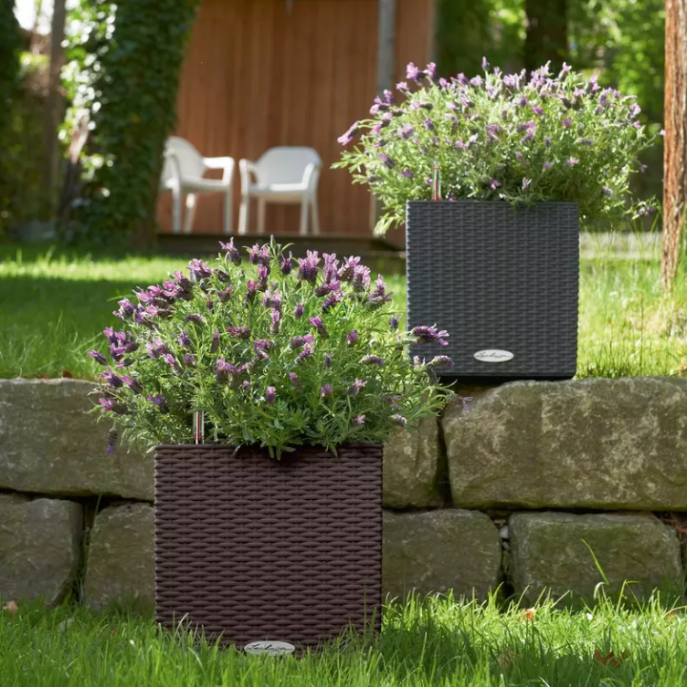 CUBE-Cottage-30-granit-6VQft33tmJQteA Lechuza CUBE Cottage 40 mokka Komplettset