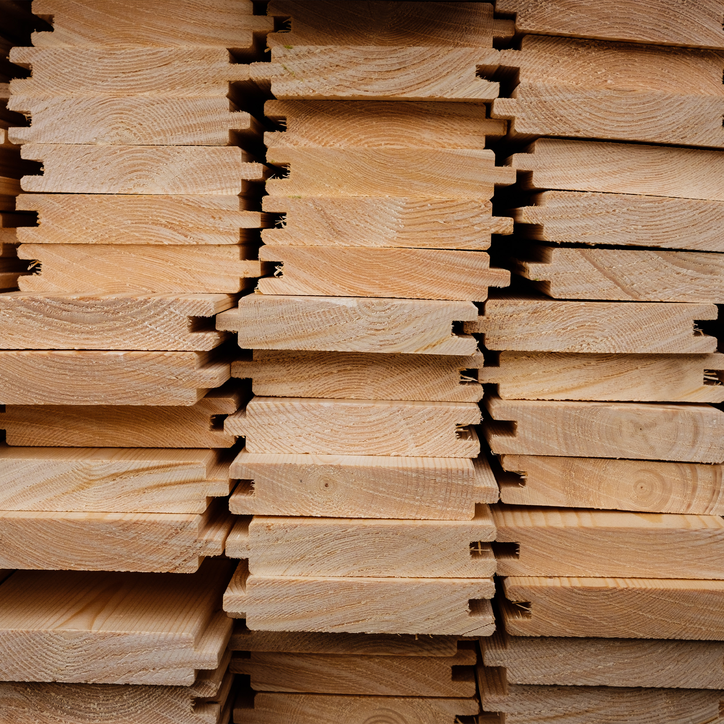 Fassadenprofil 24x146 mm Lärche natur Fasebretter Nut und Feder