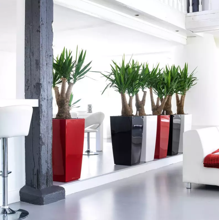 UnbenanntFATFho56u3ubc Lechuza CUBICO 40 scarlet rot hochglanz Komplettset