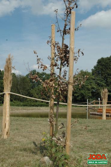 Pfahl Ø 8 cm, 50cm Länge gespitzt imprägniert Beeteinfassung Baumpfahl imprägniert