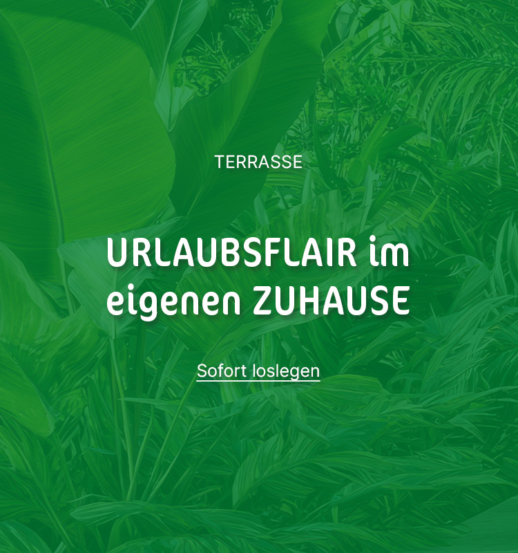 Dunkelgrüne Fläche mit Text "Urlaubsflair im eigenen Zuhause"