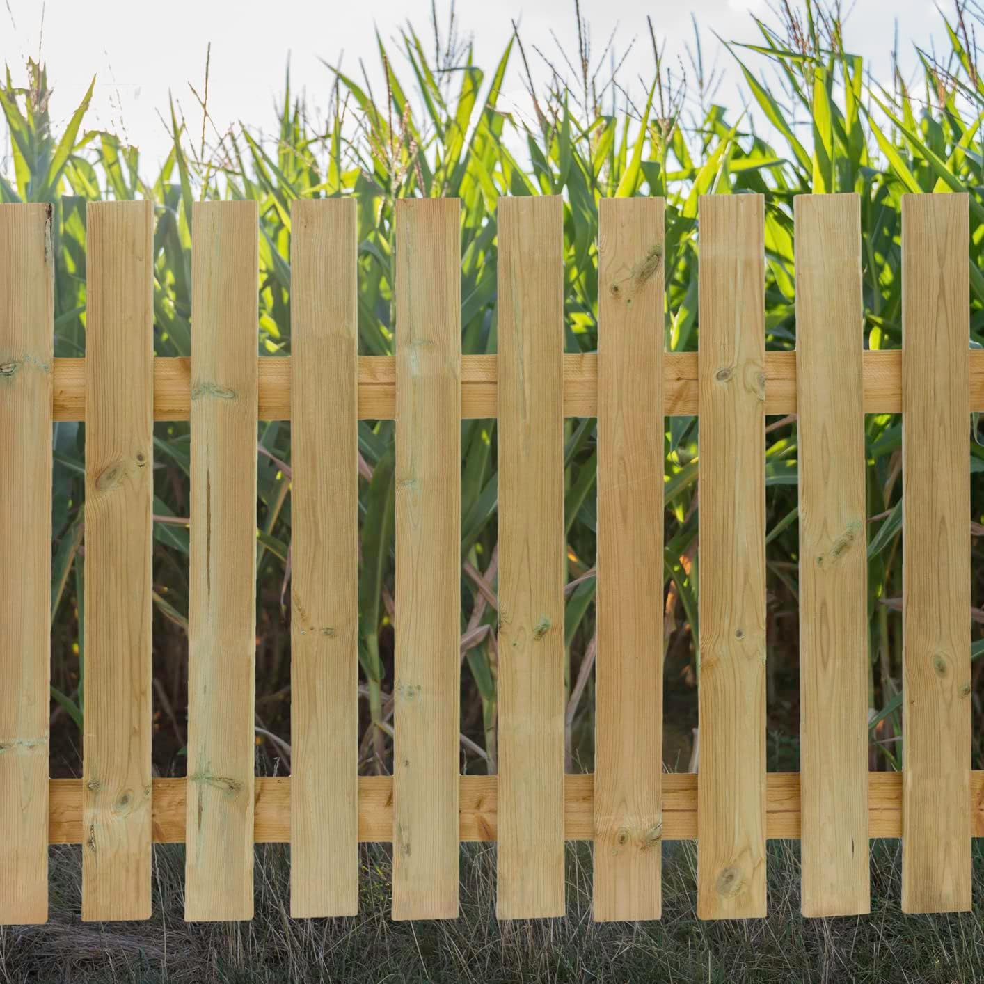 Zaunlatte Kiefer imprägniert Typ F 20x90 mm 60 cm