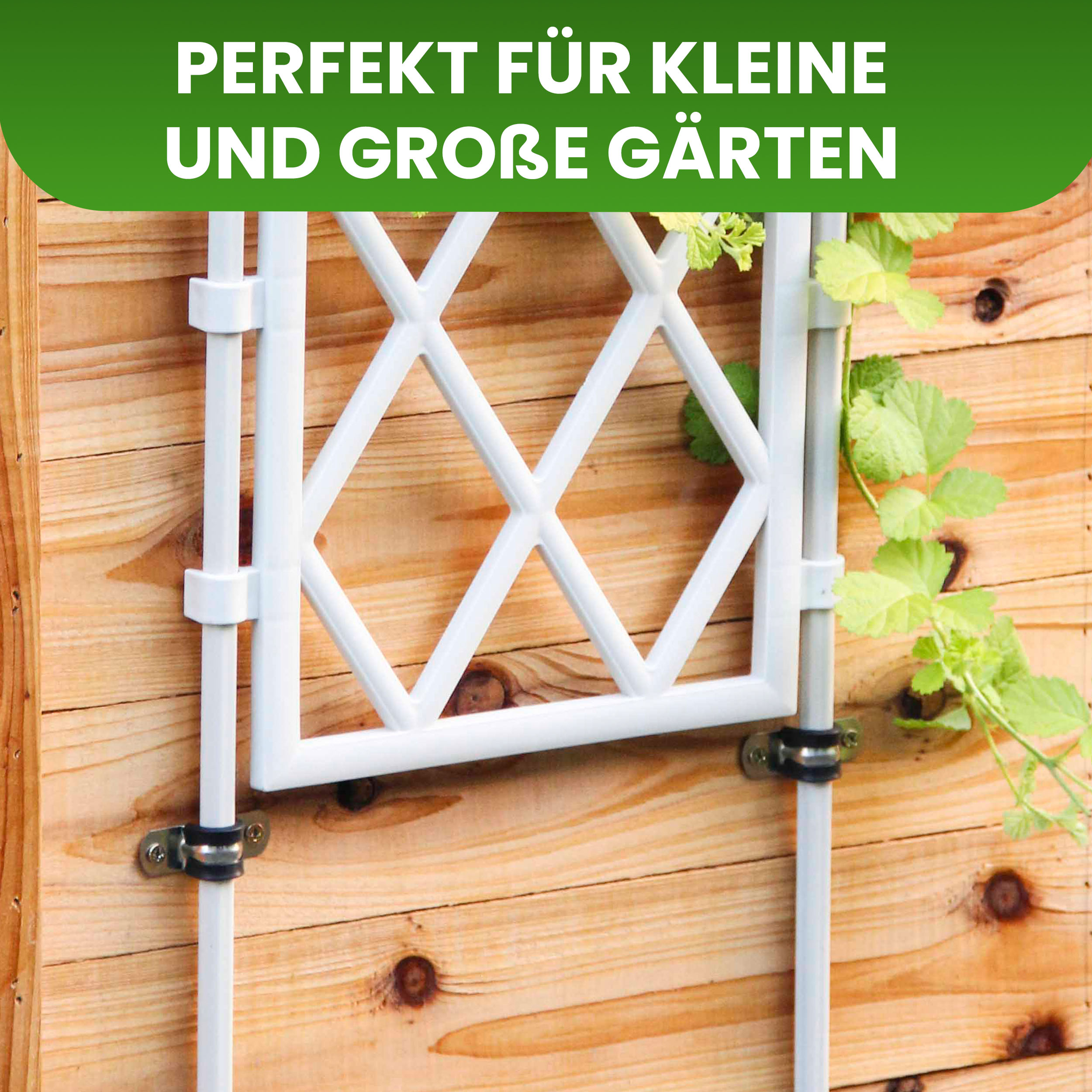 4er Set Wandhalterung für Spalier Ø14 mm Wandbefestigung Rankhilfe 4er Set Wandhalterung für Spalier Ø14 mm Wandbefestigung Rankhilfe
