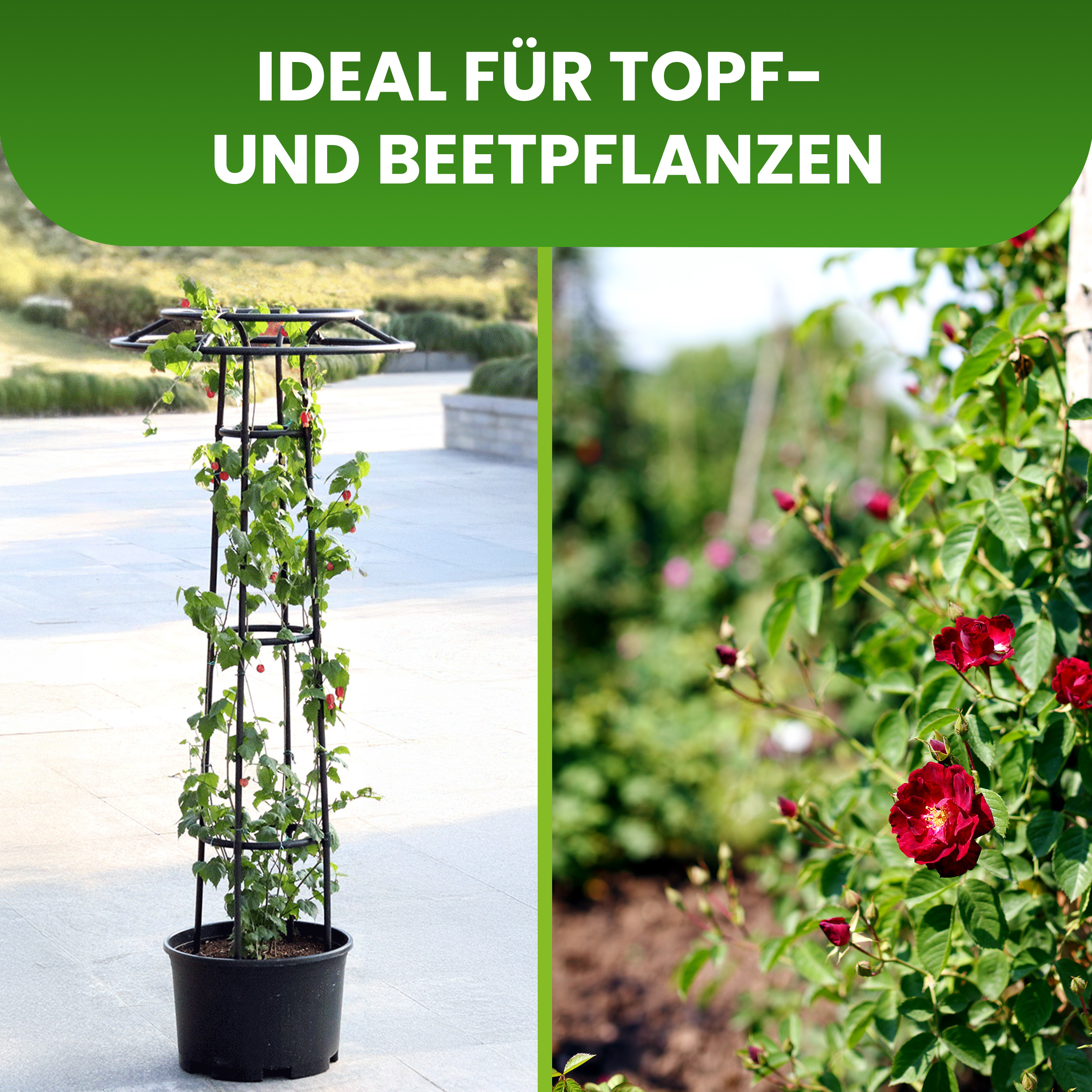 Rankturm mit Pilzkopf Höhe 185 cm freistehende Rankhilfe für Kletterpflanzen Rosen Rankturm mit Pilzkopf Höhe 185 cm freistehende Rankhilfe für Kletterpflanzen Rosen