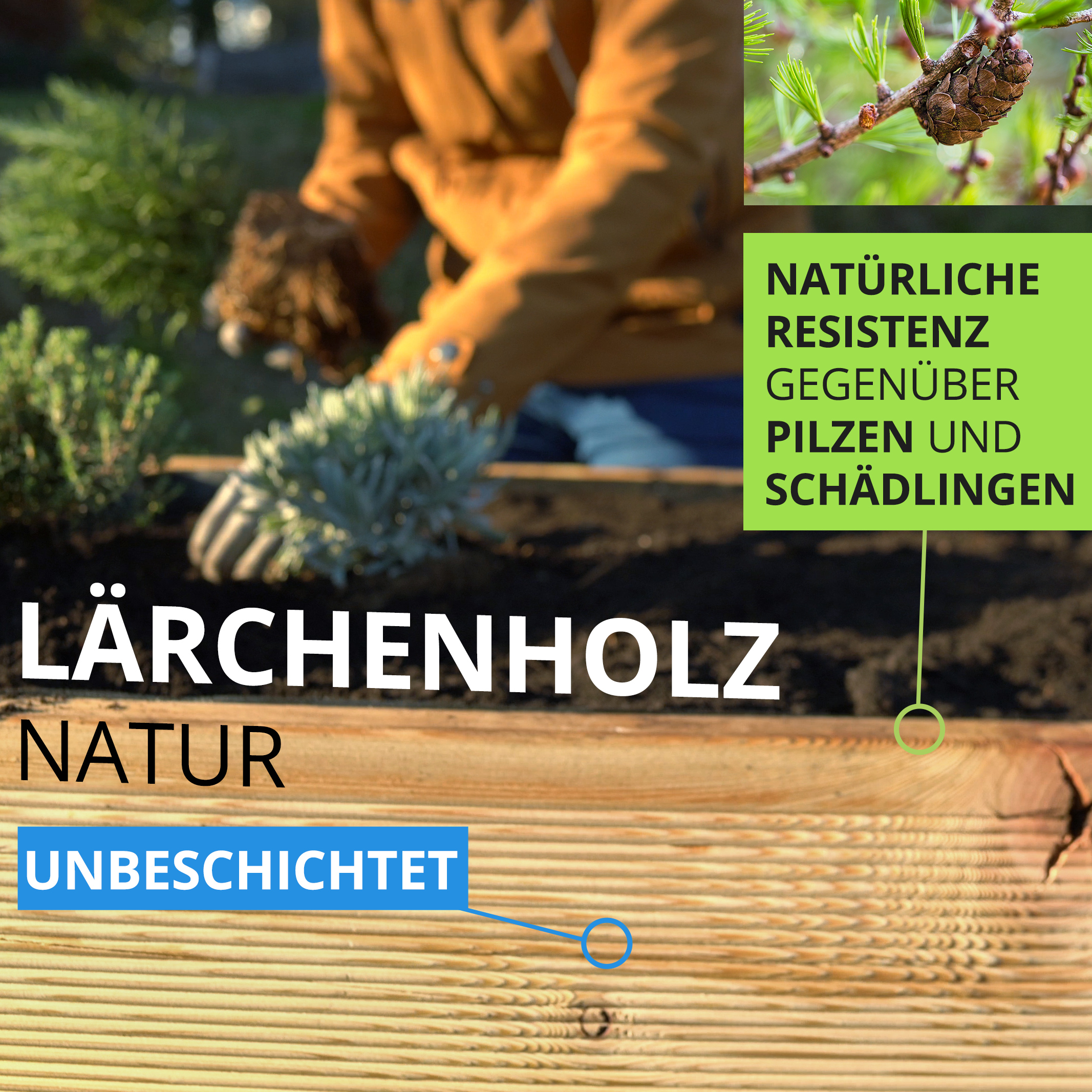 5lBFPeTbZDERan Natur Hochbeet aus Lärchenholz