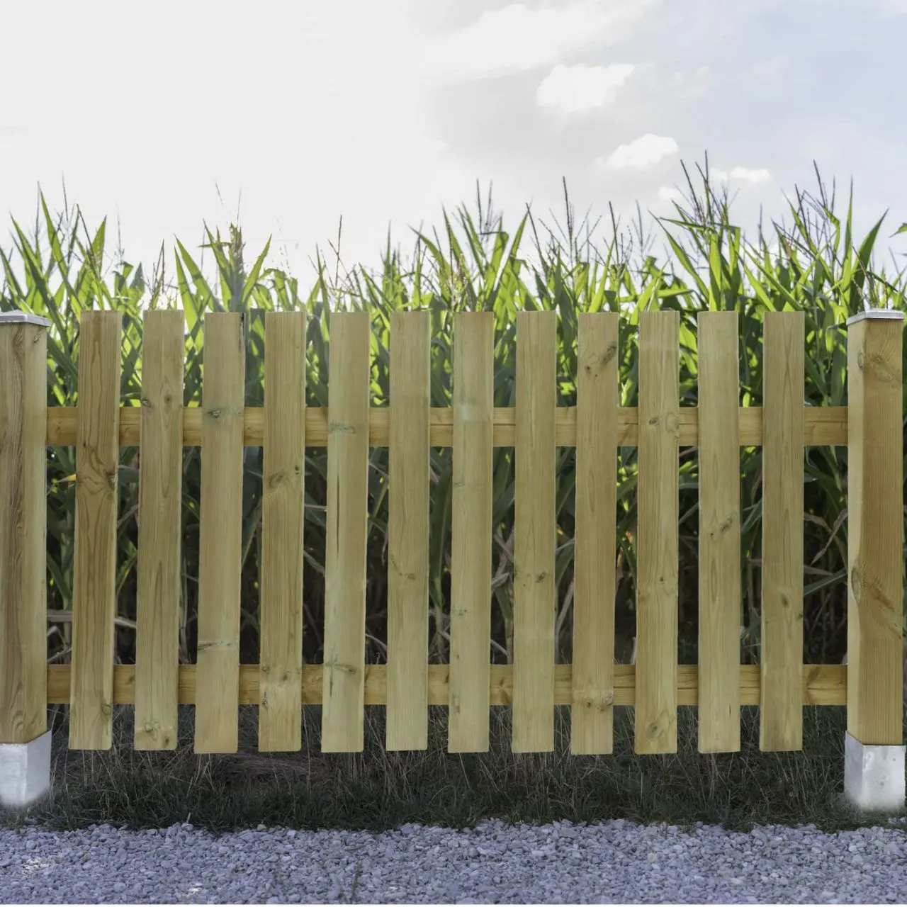 Zaunlatte Kiefer imprägniert Typ E 20x70 mm 60 cm