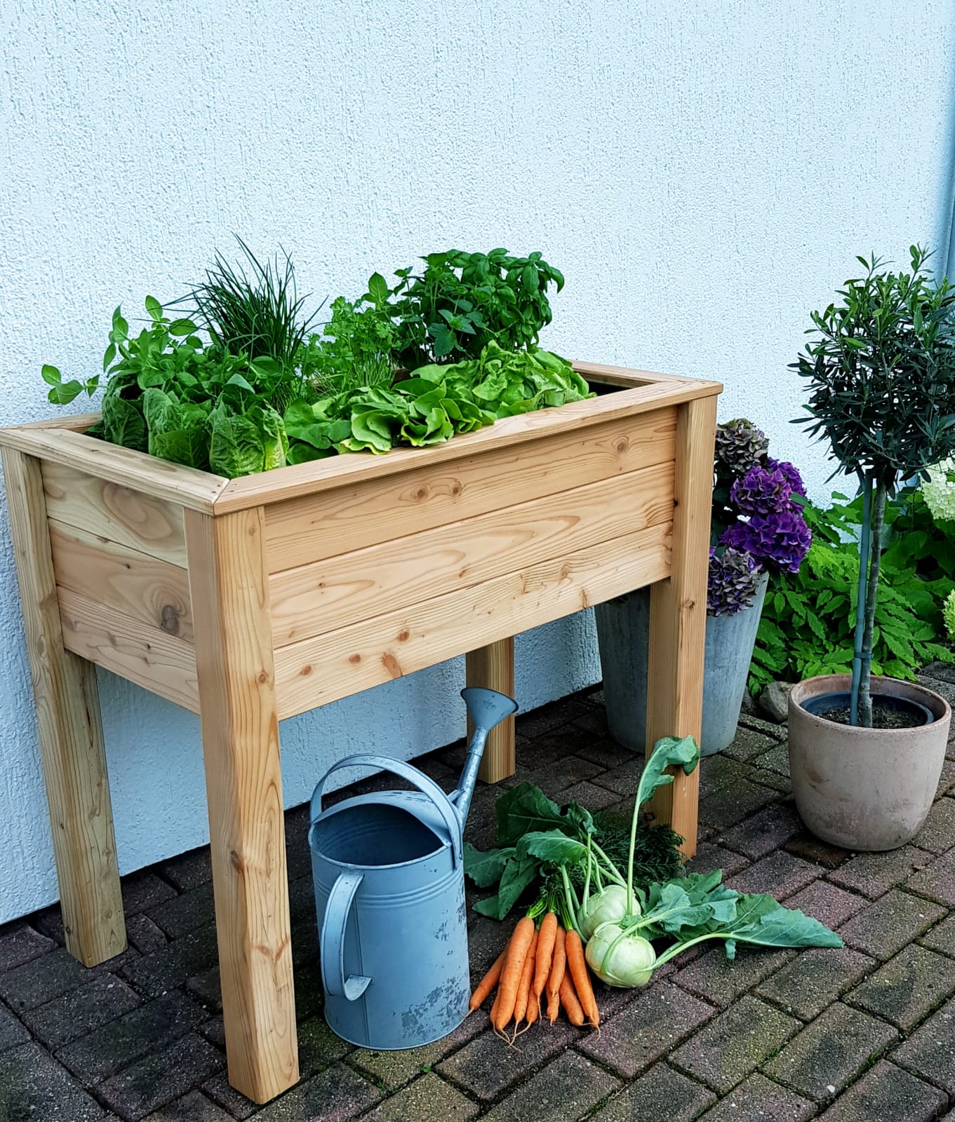 Stelzenhochbeet-1 Stelzenhochbeet aus Lärche natur Pflanzbeet Kräuterbeet Gemüsebeet Hochbeet Balkon Terrasse