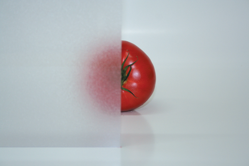 Clear-Matt Takasho ARTPORT Single 3x5m (6 Pfosten) Pinie weiss/Clear Matt 99122