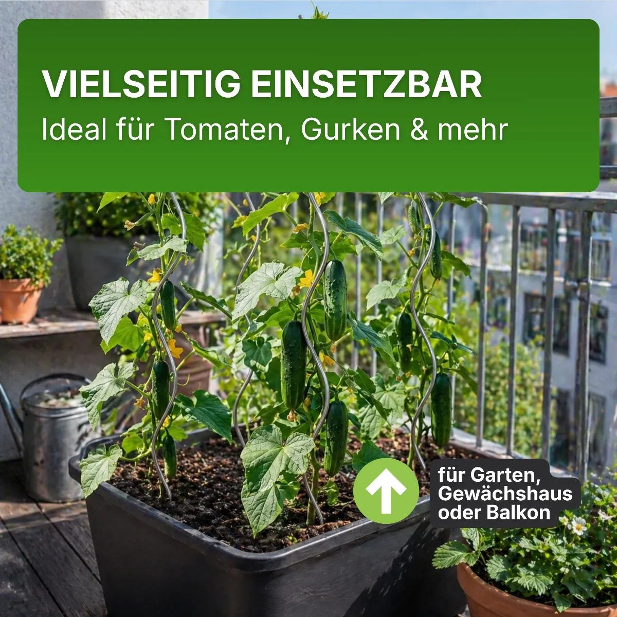 Tomatenspiralen aus Stahl Ø 5,6 mm Tomatenspiralstäbe Ranke Pflanzstab