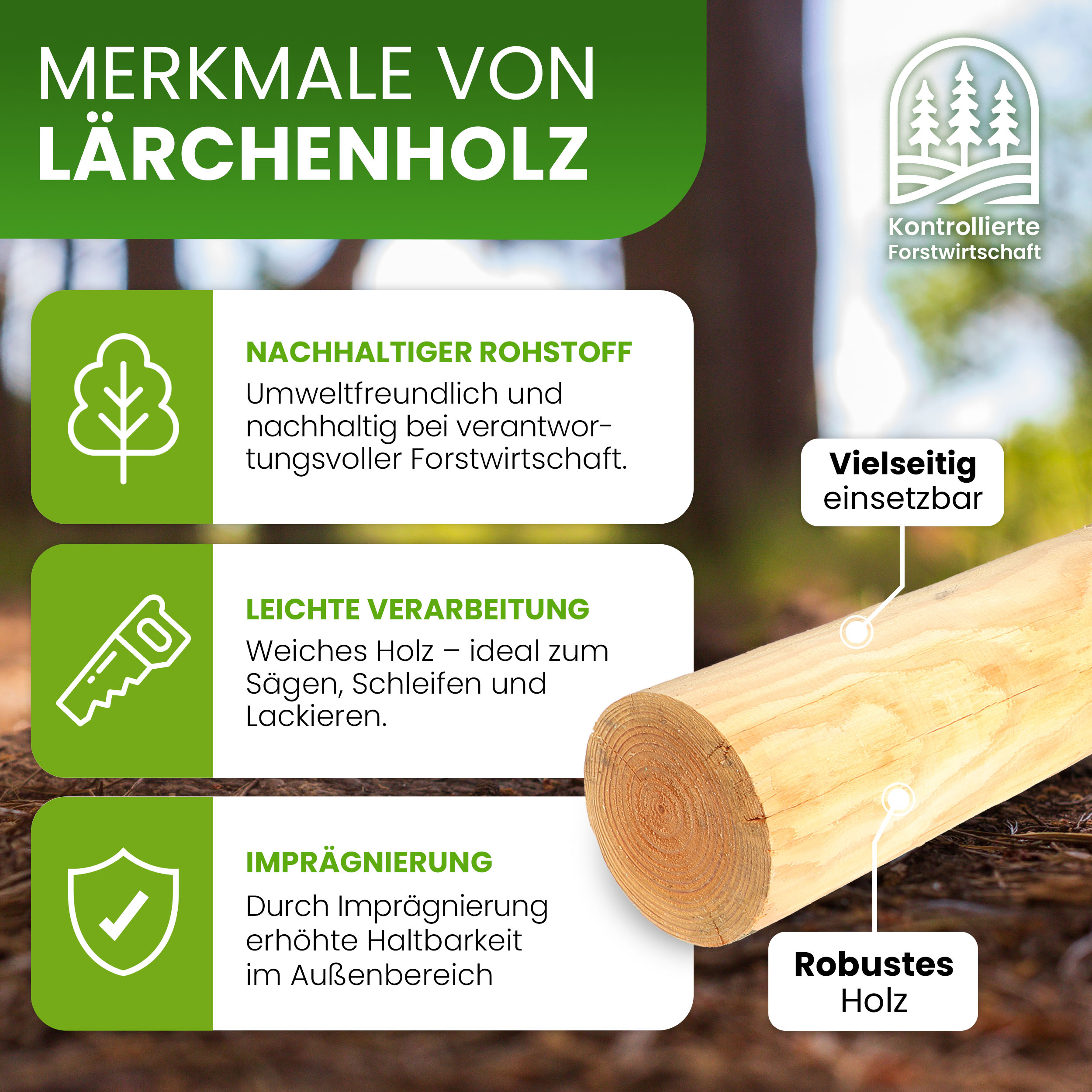 Palisade Ø 12 cm Lärche natur Rundholz Pfosten Holzpalisade