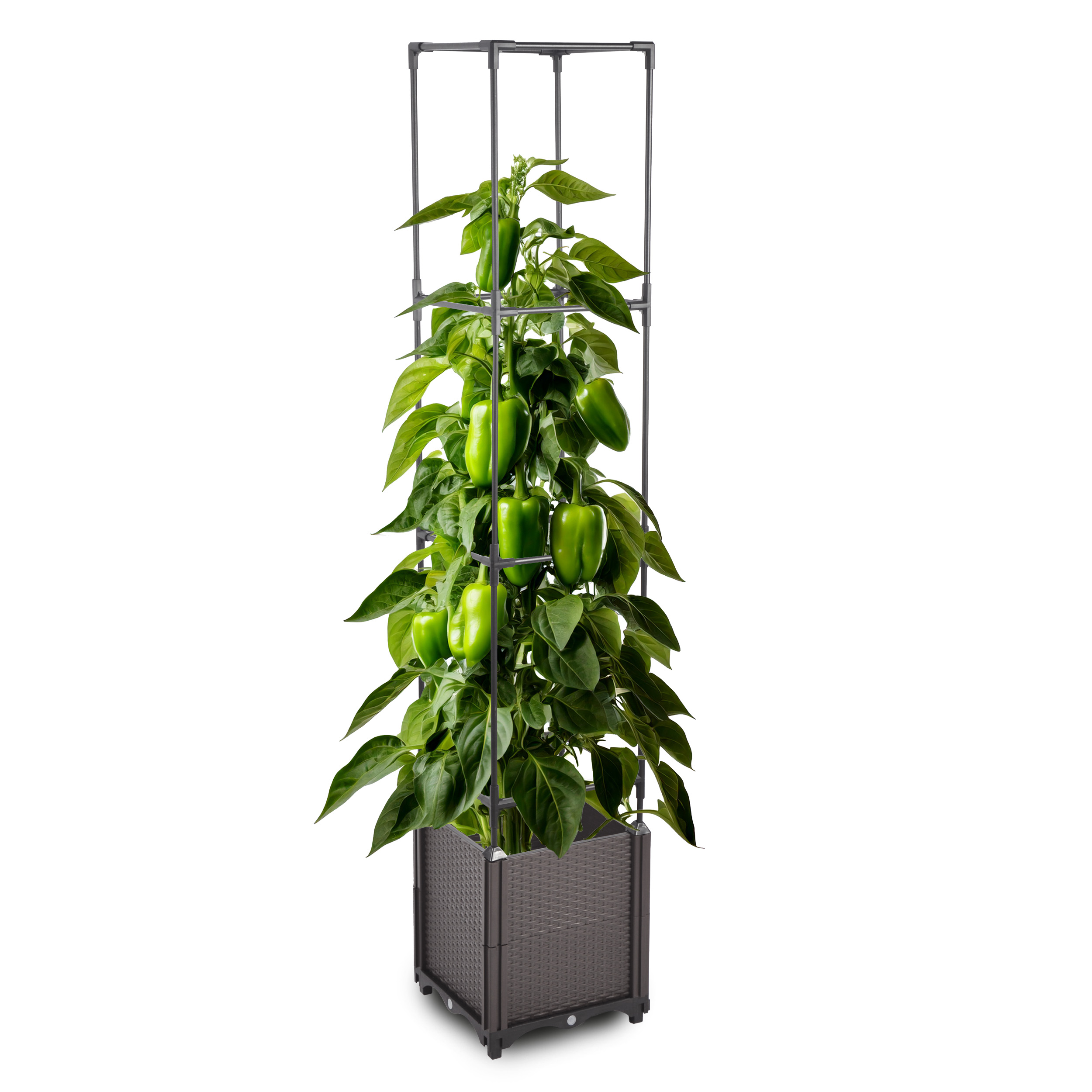 1Vb6J8IiSbZIap Blumenkasten Set mit Rankhilfe 4 Ebenen 30x30xH164 cm Pflanzgefäß für Garten Balkon