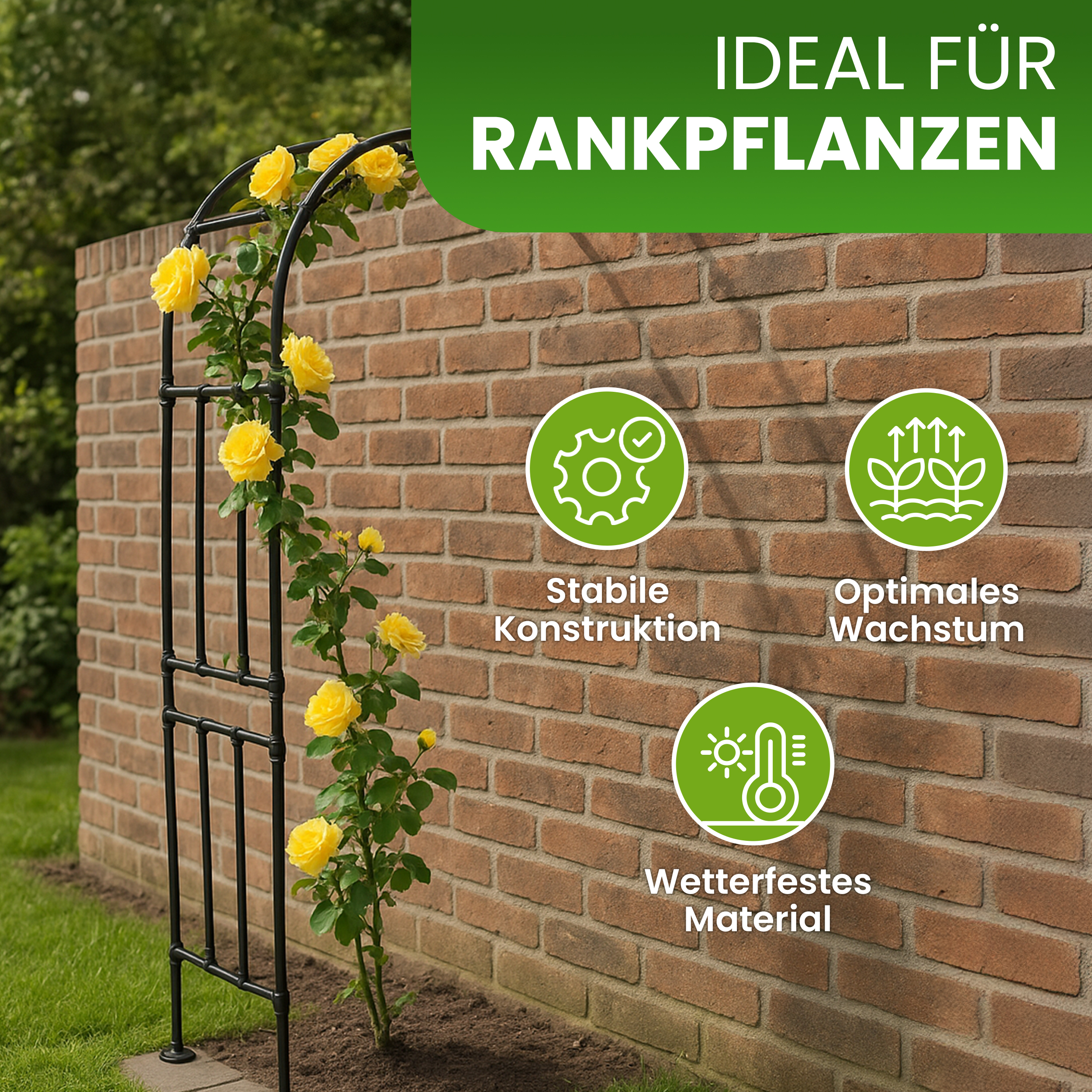 Halbbogen schwarz Rosenbogen für Kletterpflanzen Rosenspalier Rankhilfe