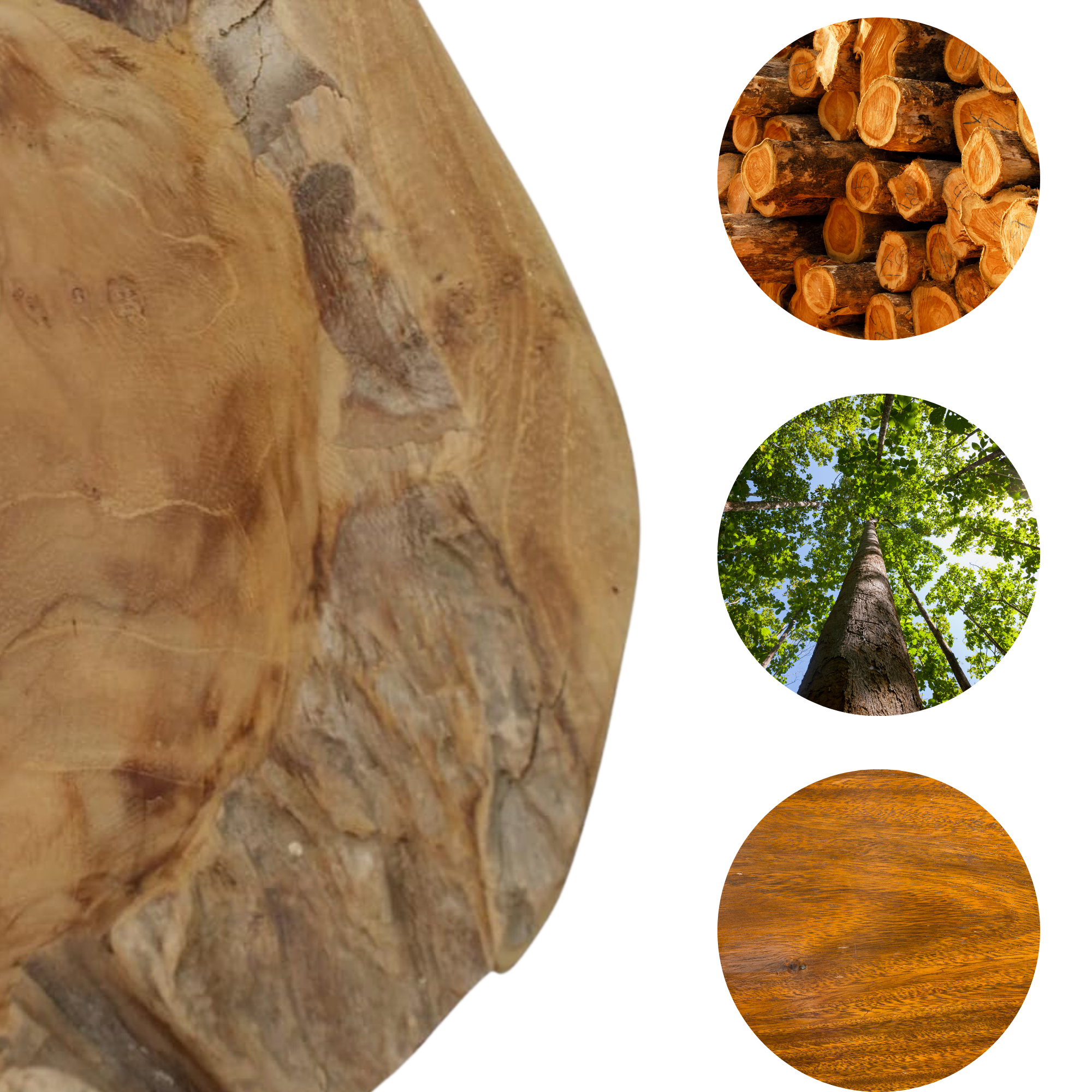 Kein-Titel-21-x-21-cm Schale Teak Holzschale Massiv Teakholz Natur Unikat Deko Rustikal
