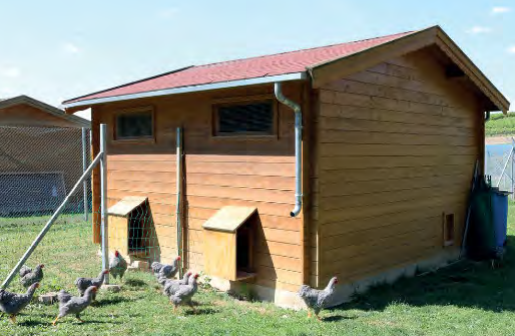 Chicken-farm-3 Premium Gartenhaus Chicken Farm
