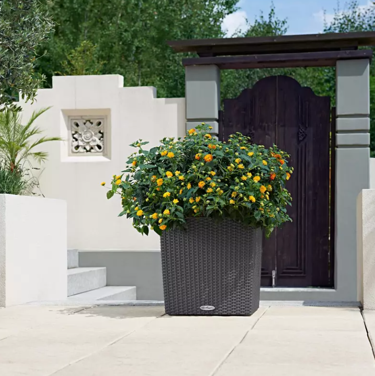 CUBE-Cottage-40-granit-2WpPDYXrkgtM18 Lechuza CUBE Cottage 50 granit Komplettset