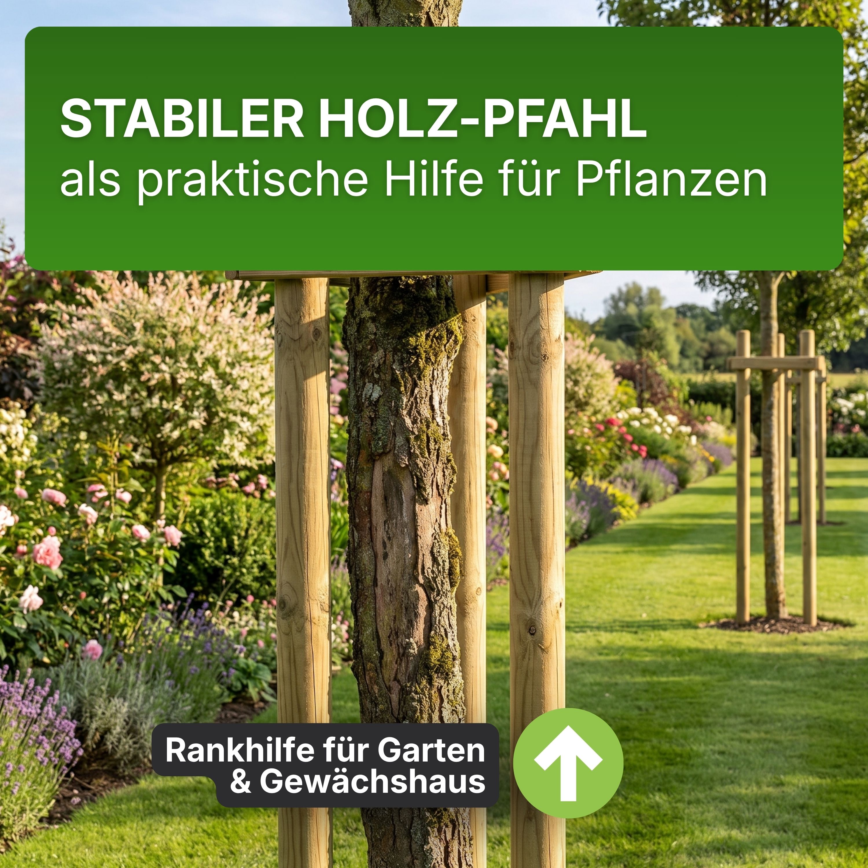 Pfahl Ø 4,6 cm Höhe 150 cm Holzpfahl Kiefer imprägniert Pflanzstab Gartenpfahl Rankhilfe Baumpfahl