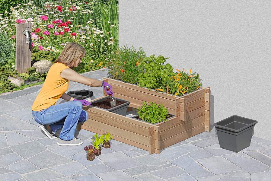 1qAx4eBgEIr0tP Stufenbeet aus Lärchenholz mit Pflanzkasteneinsatz Pflanzkasten Beet für den Garten